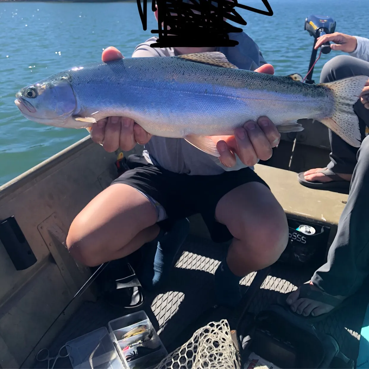 Rainbow trout caught on Fishbrain