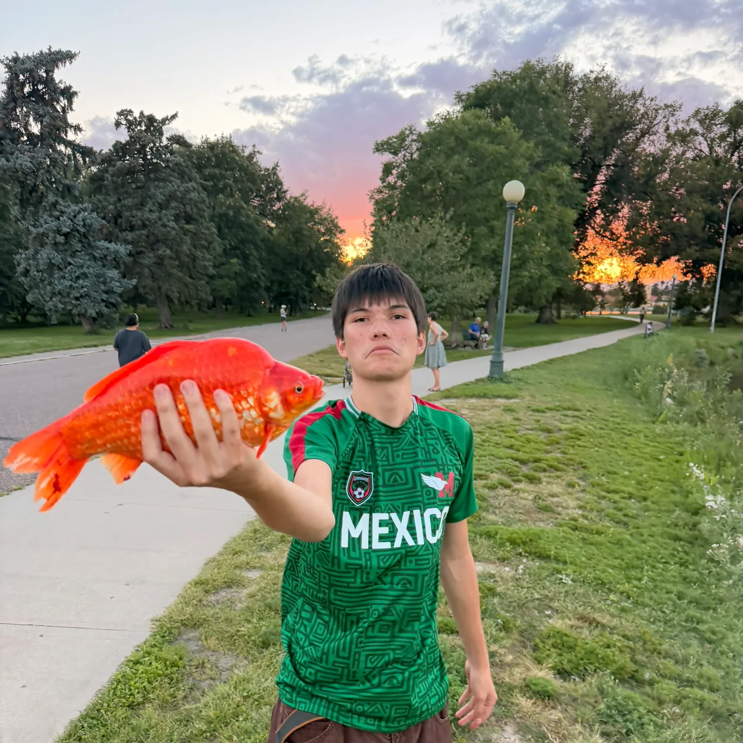 The most recent Goldfish catches on Fishbrain