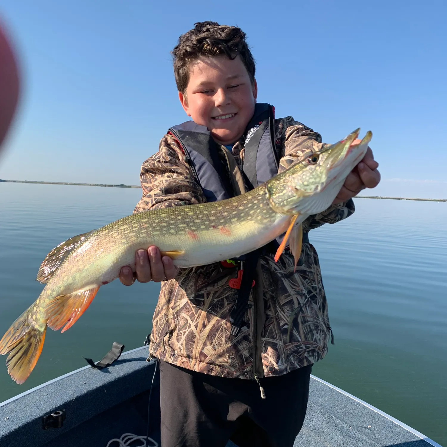 Northern pike caught on Fishbrain