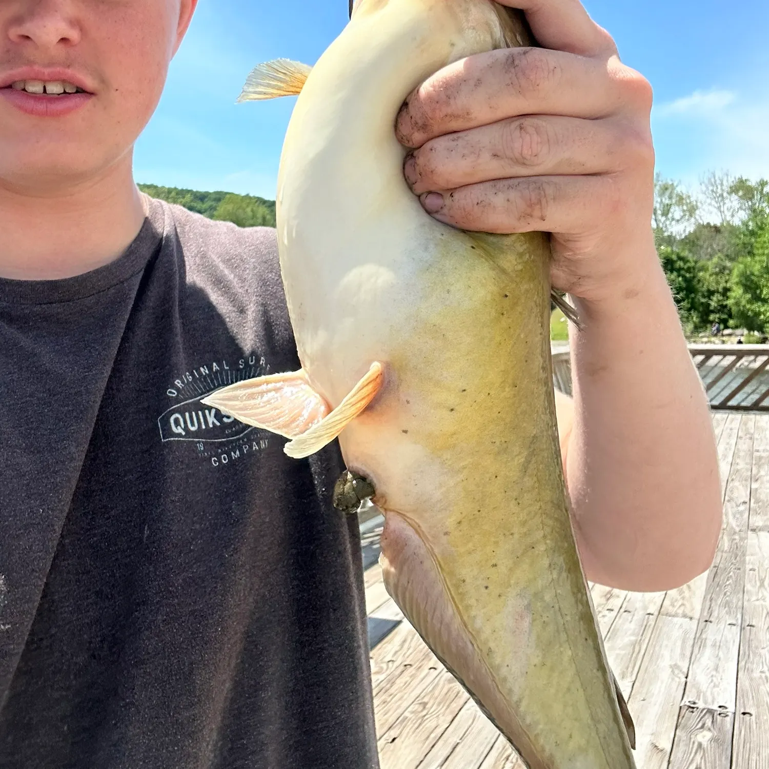 catch