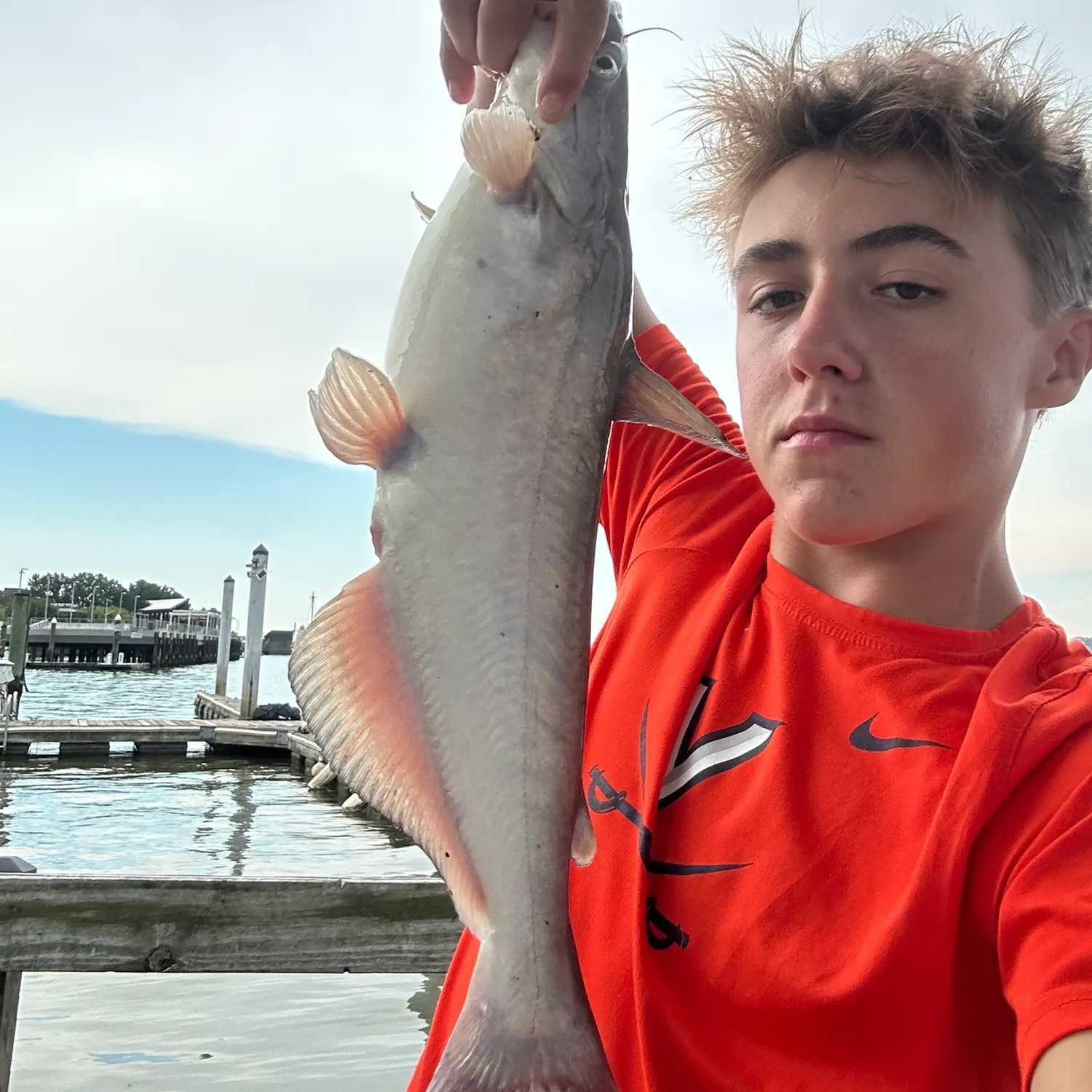 Blue catfish caught on Fishbrain
