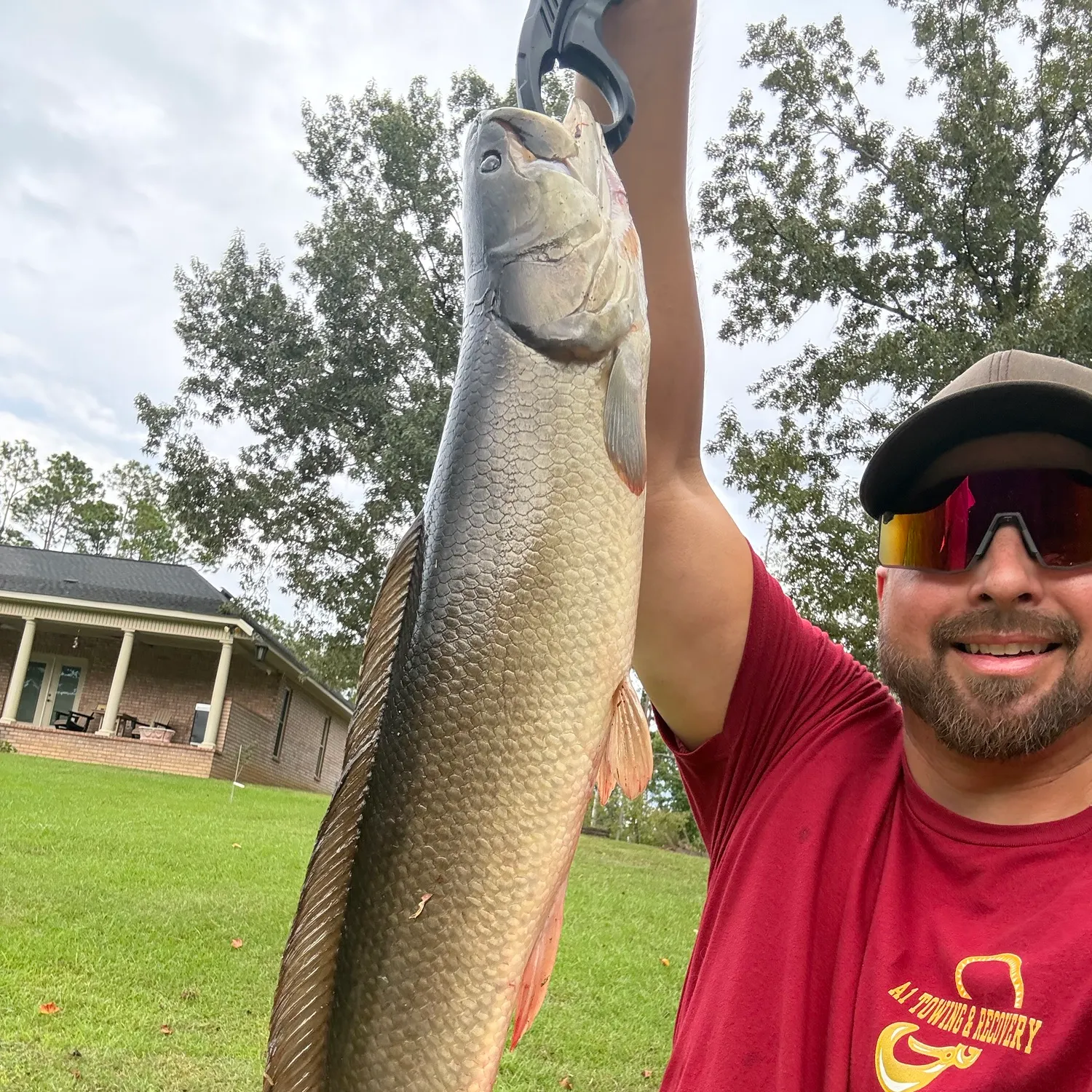 Ruddy bowfin caught on Fishbrain