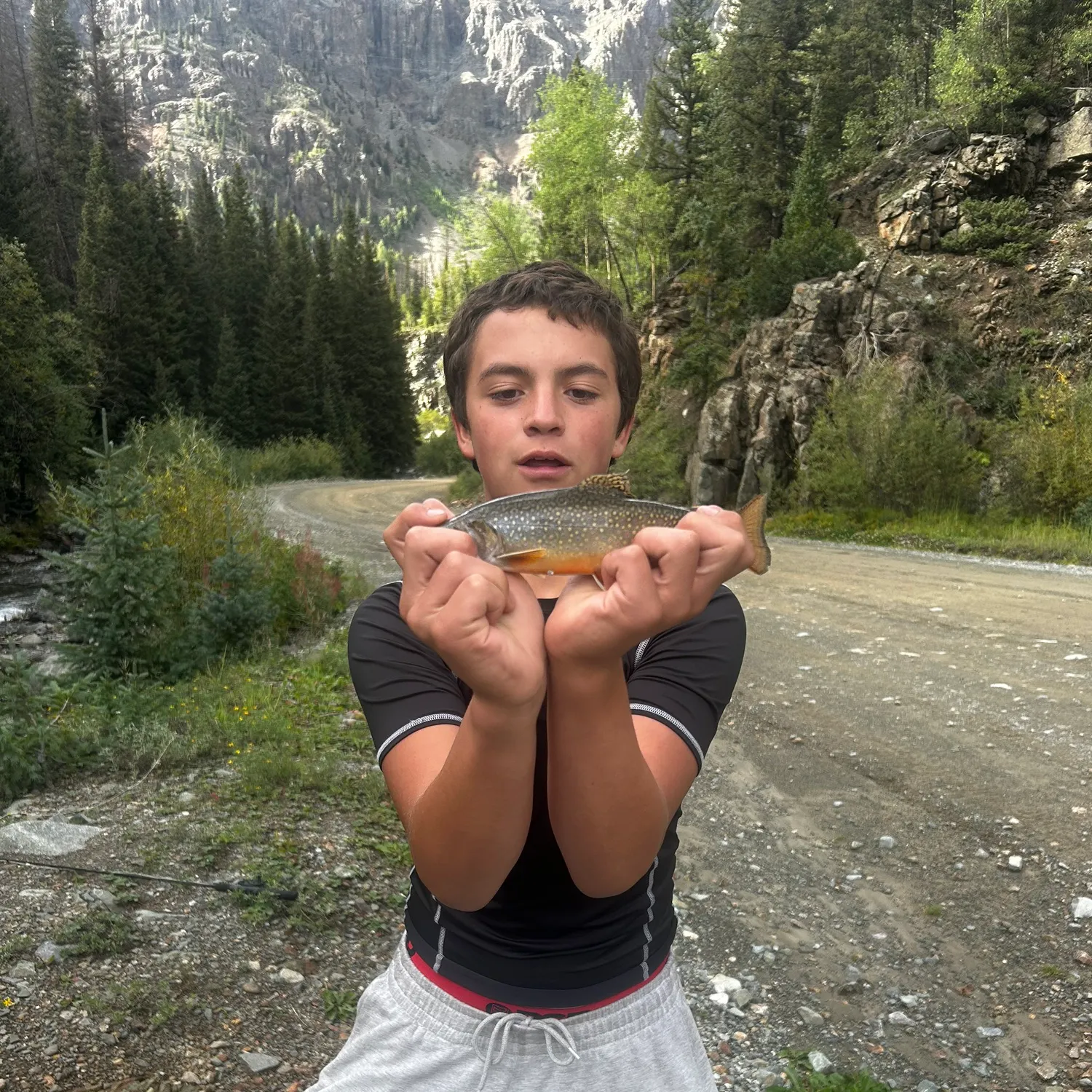 Brook trout caught on Fishbrain