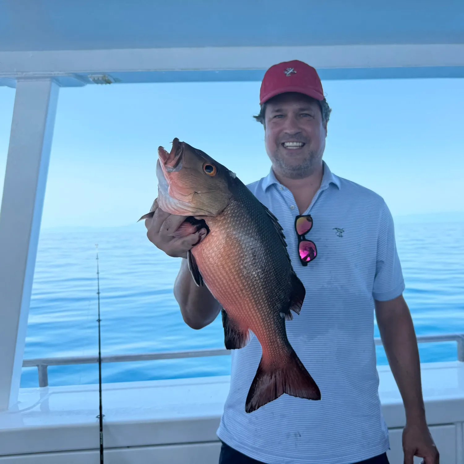 The most recent Emperor red snapper catches on Fishbrain