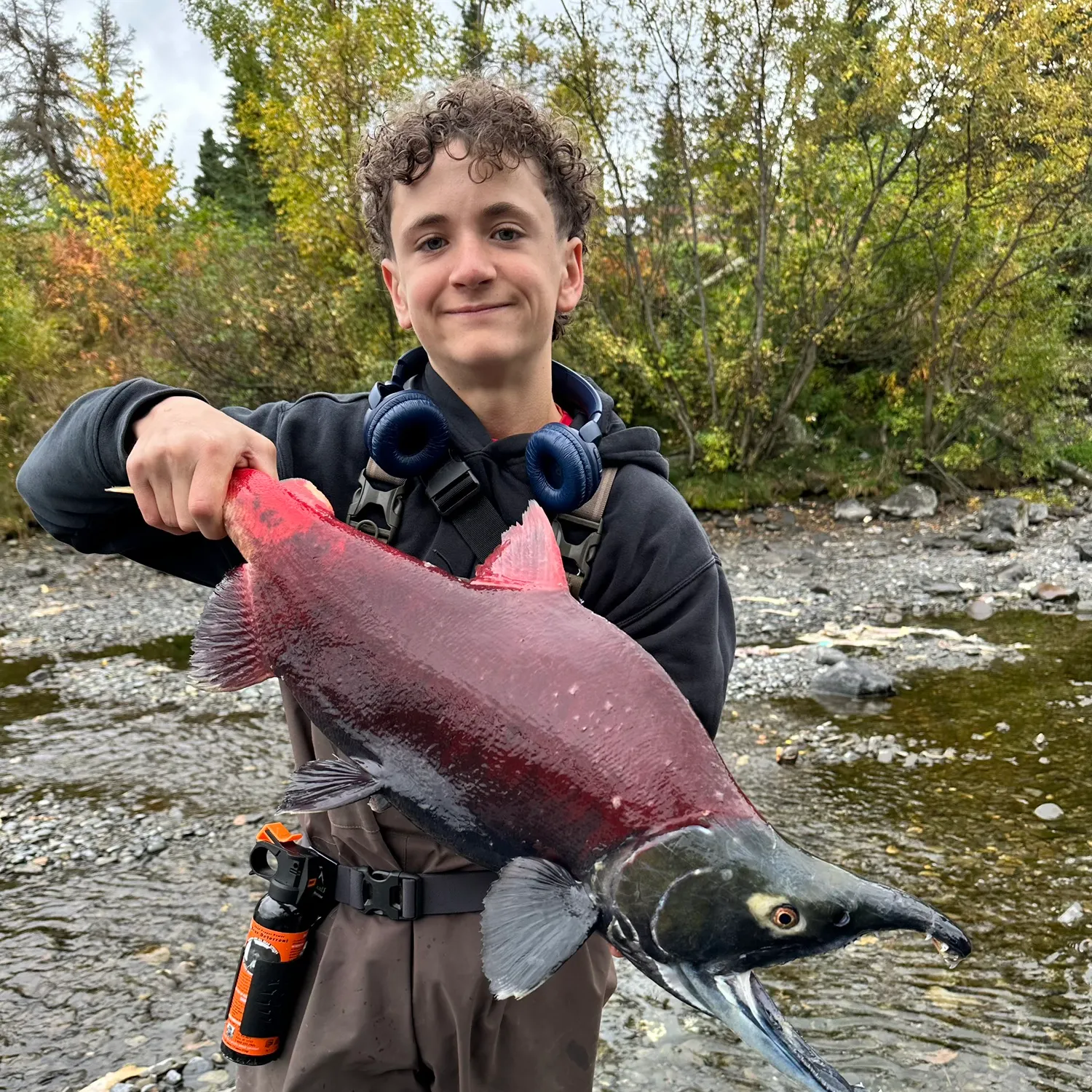 The most recent Sockeye salmon catches on Fishbrain