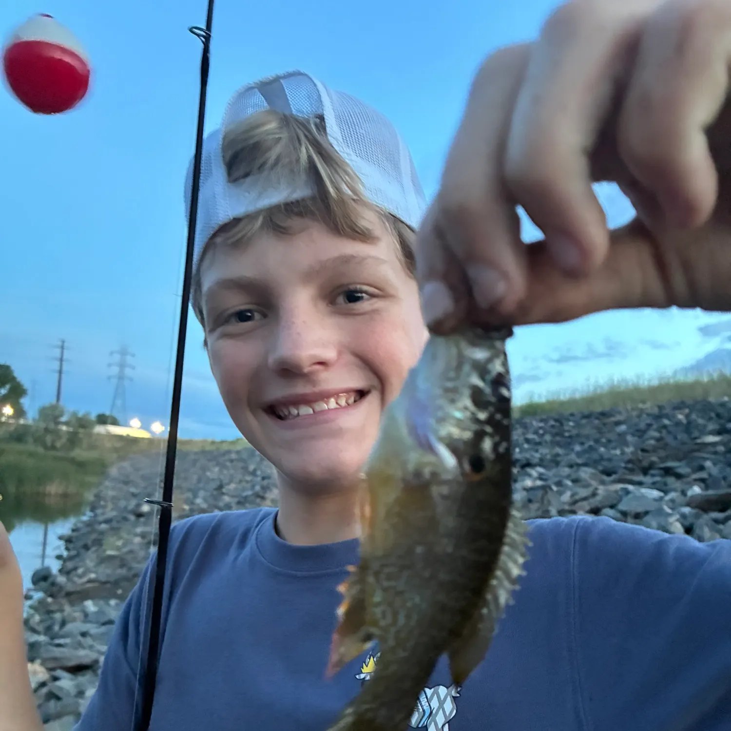 Bluegill caught on Fishbrain