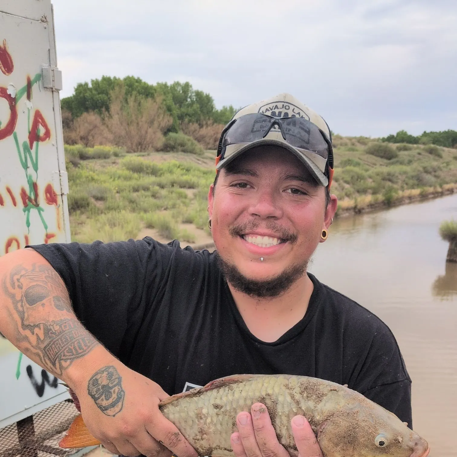 Common carp caught on Fishbrain