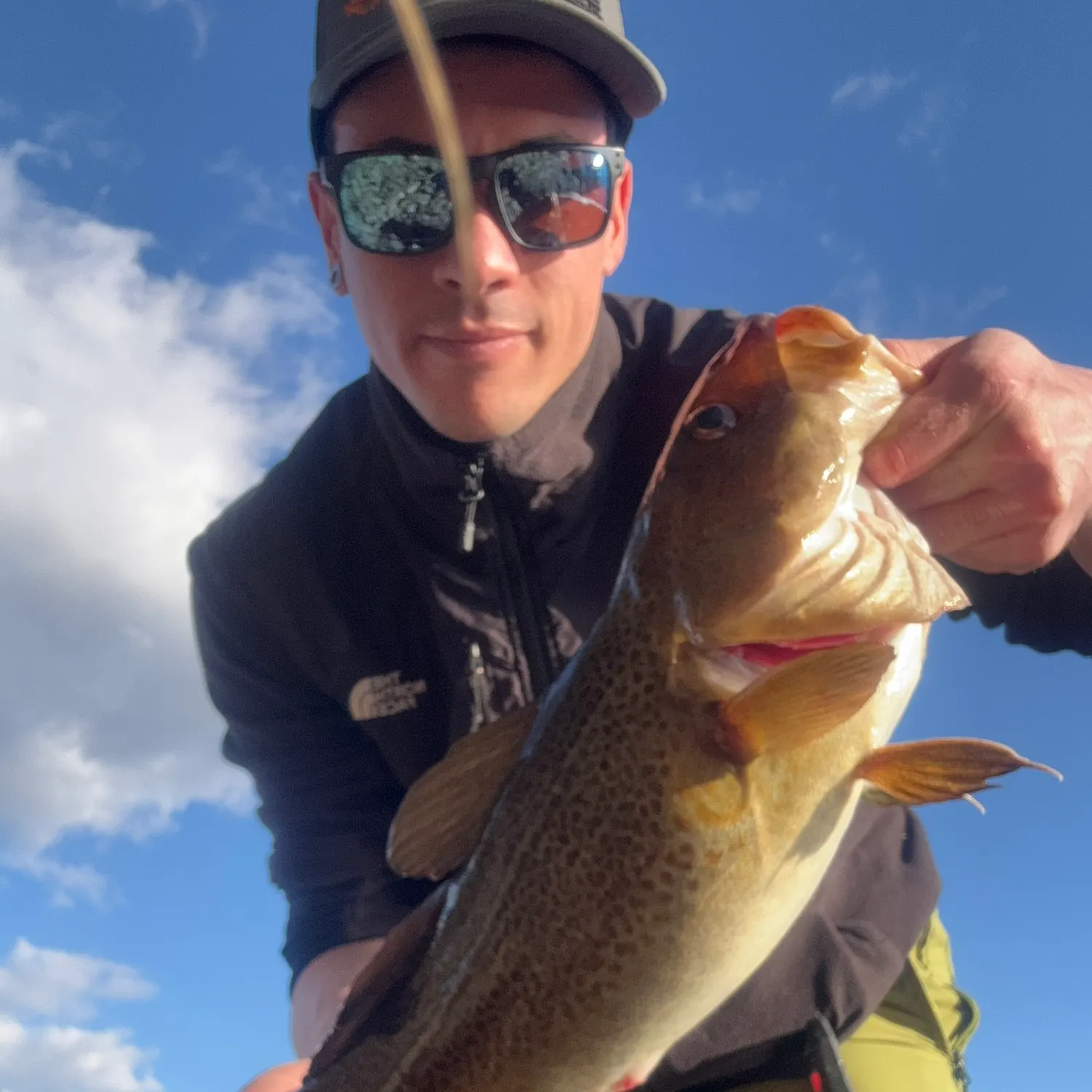 The most recent Atlantic cod catches on Fishbrain