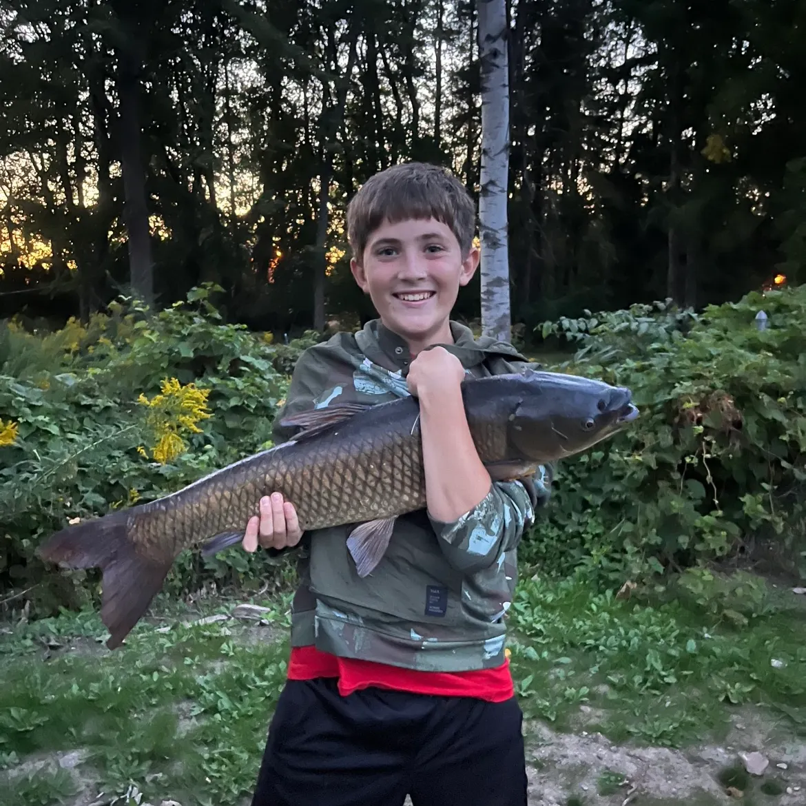 The most recent Grass carp catches on Fishbrain