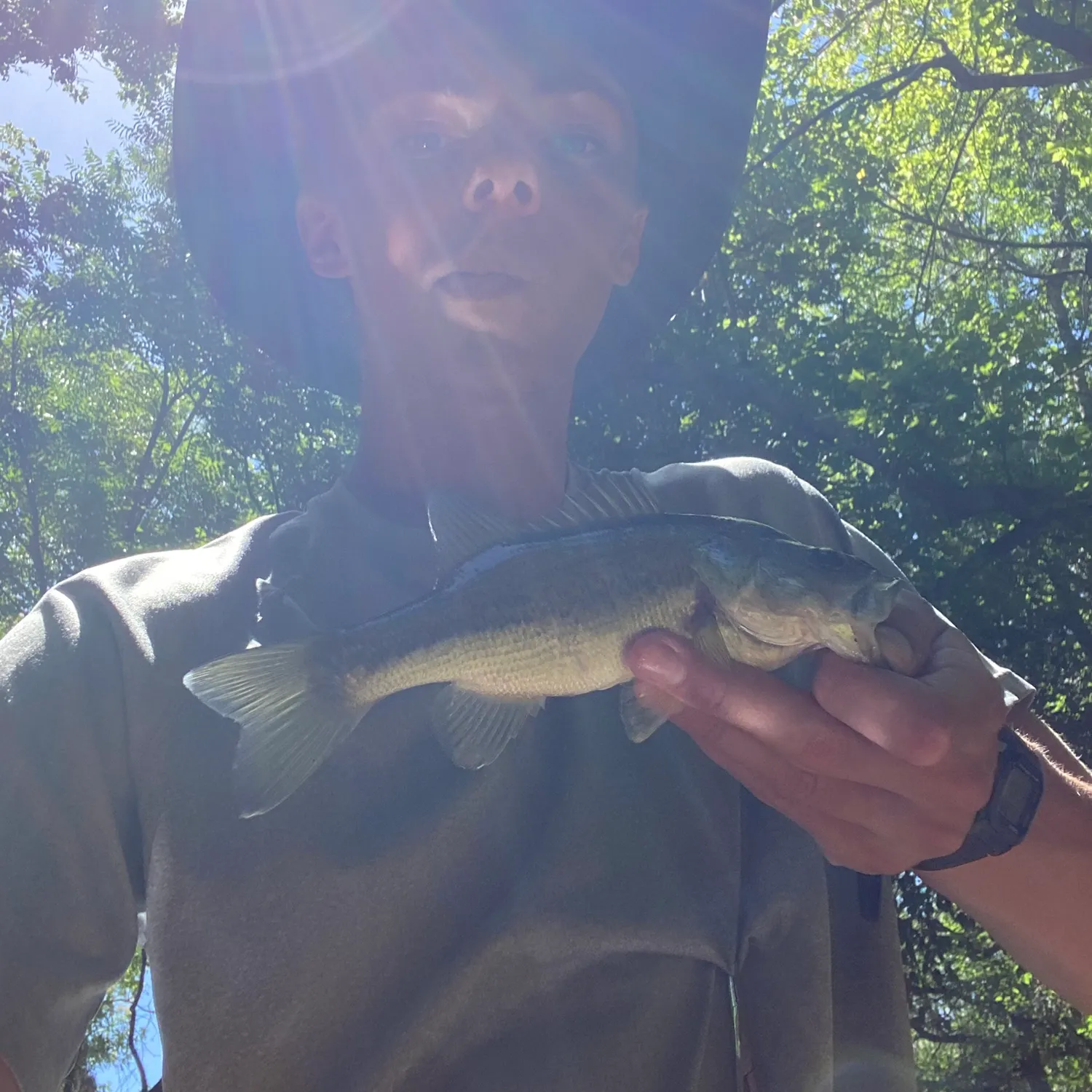 The most recent Guadalupe bass catches on Fishbrain