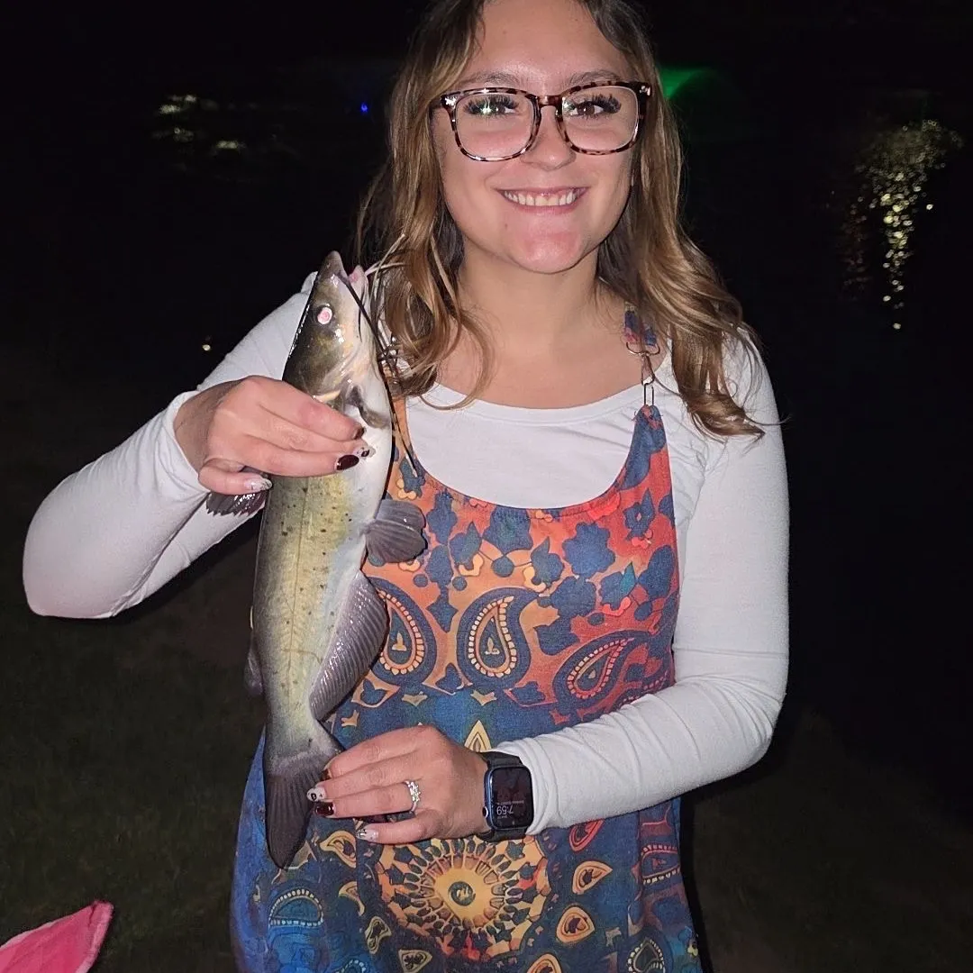 Fish caught on Fishbrain