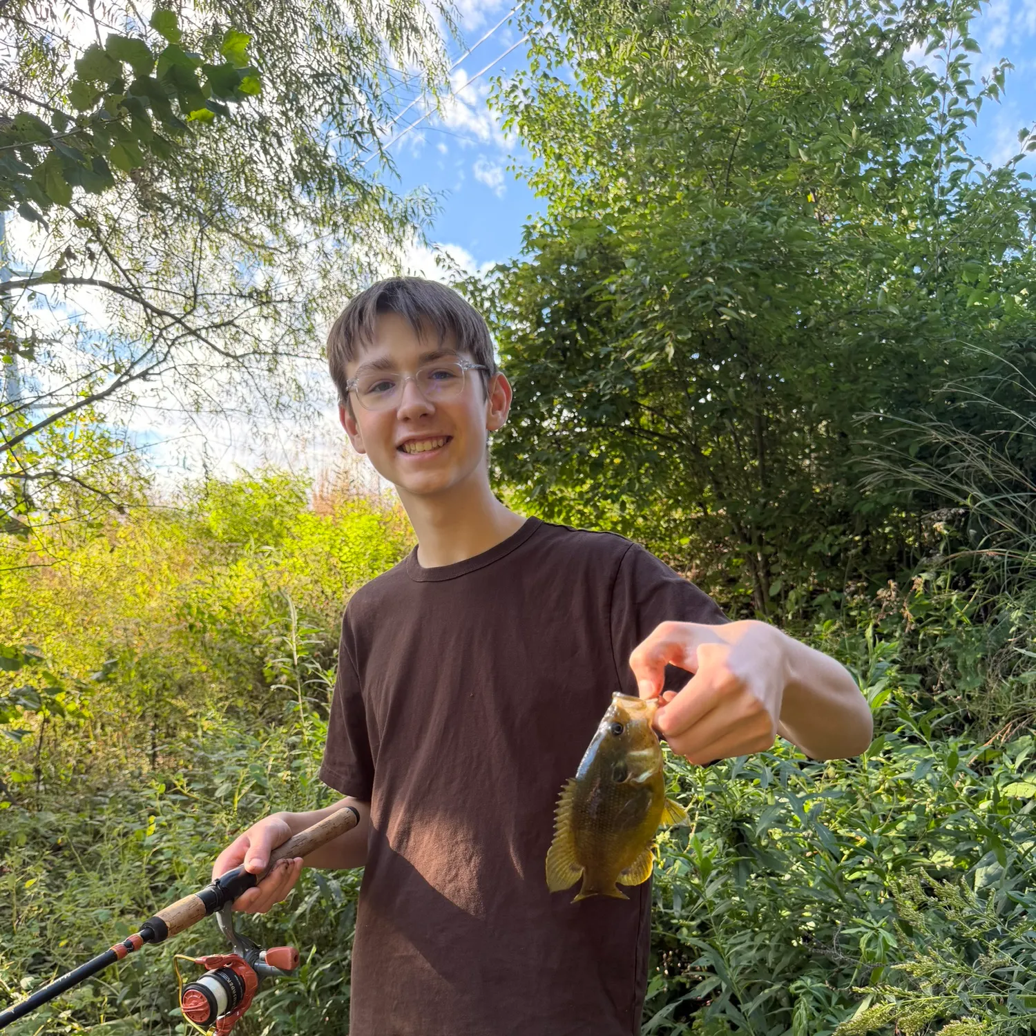 Green sunfish caught on Fishbrain
