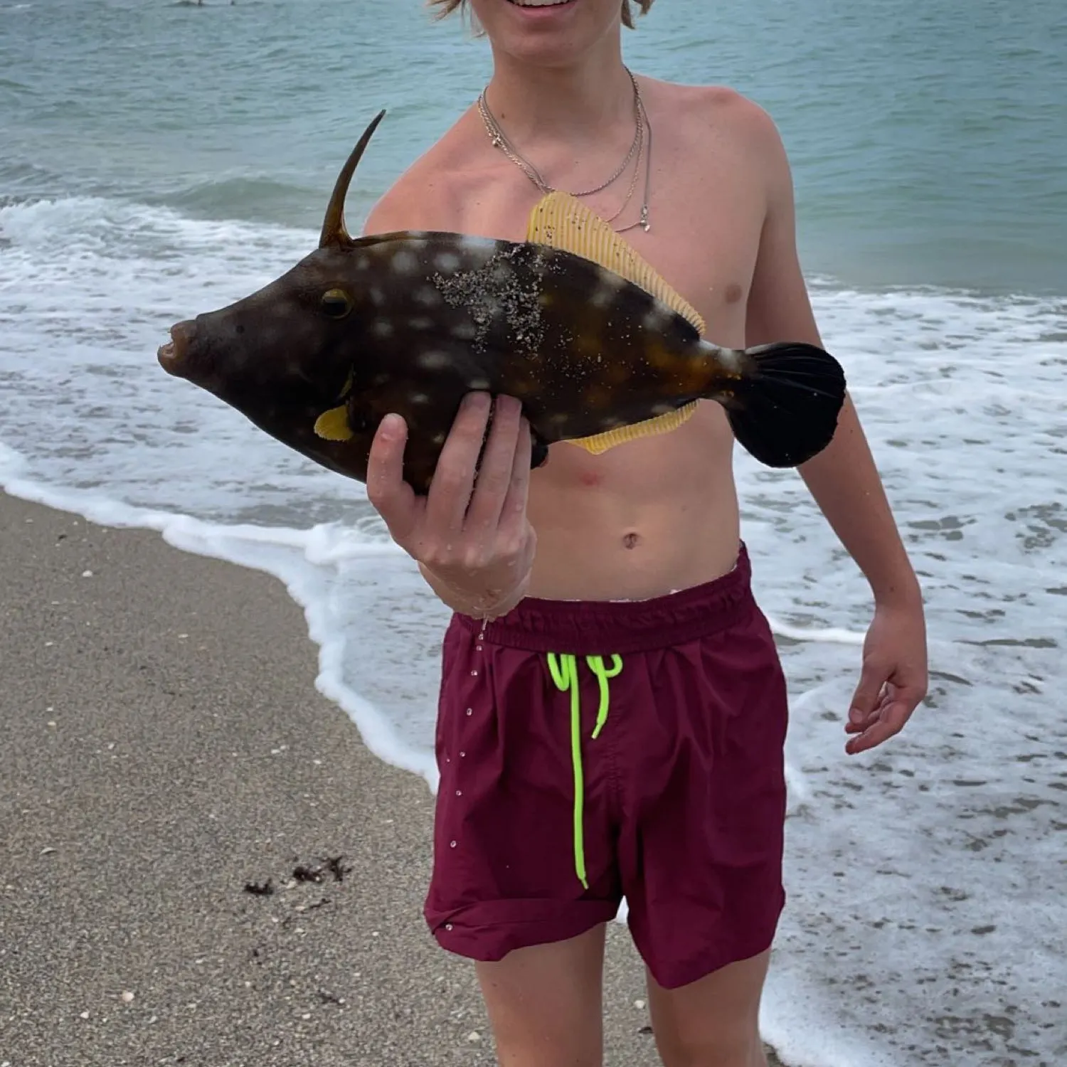 most liked catch image