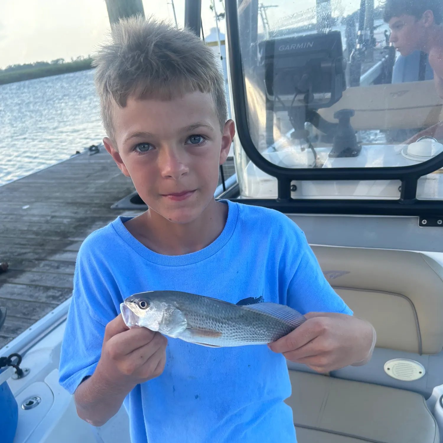 The most recent Pigfish catches on Fishbrain