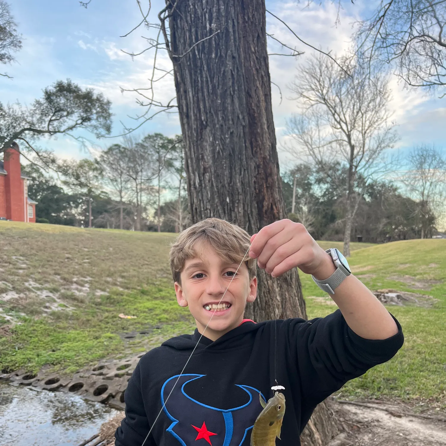 The most recent Great white shark catches on Fishbrain