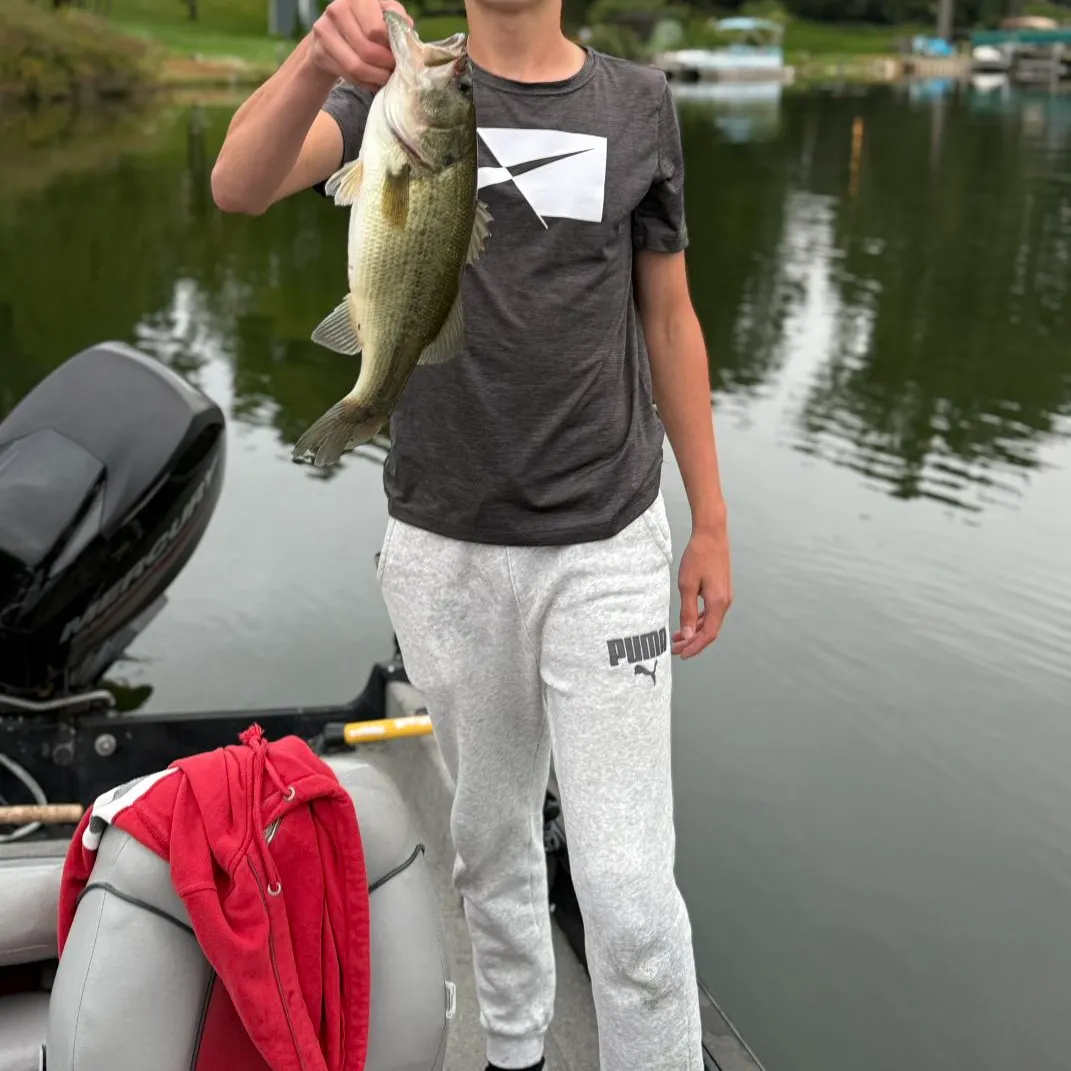 Largemouth bass caught on Fishbrain