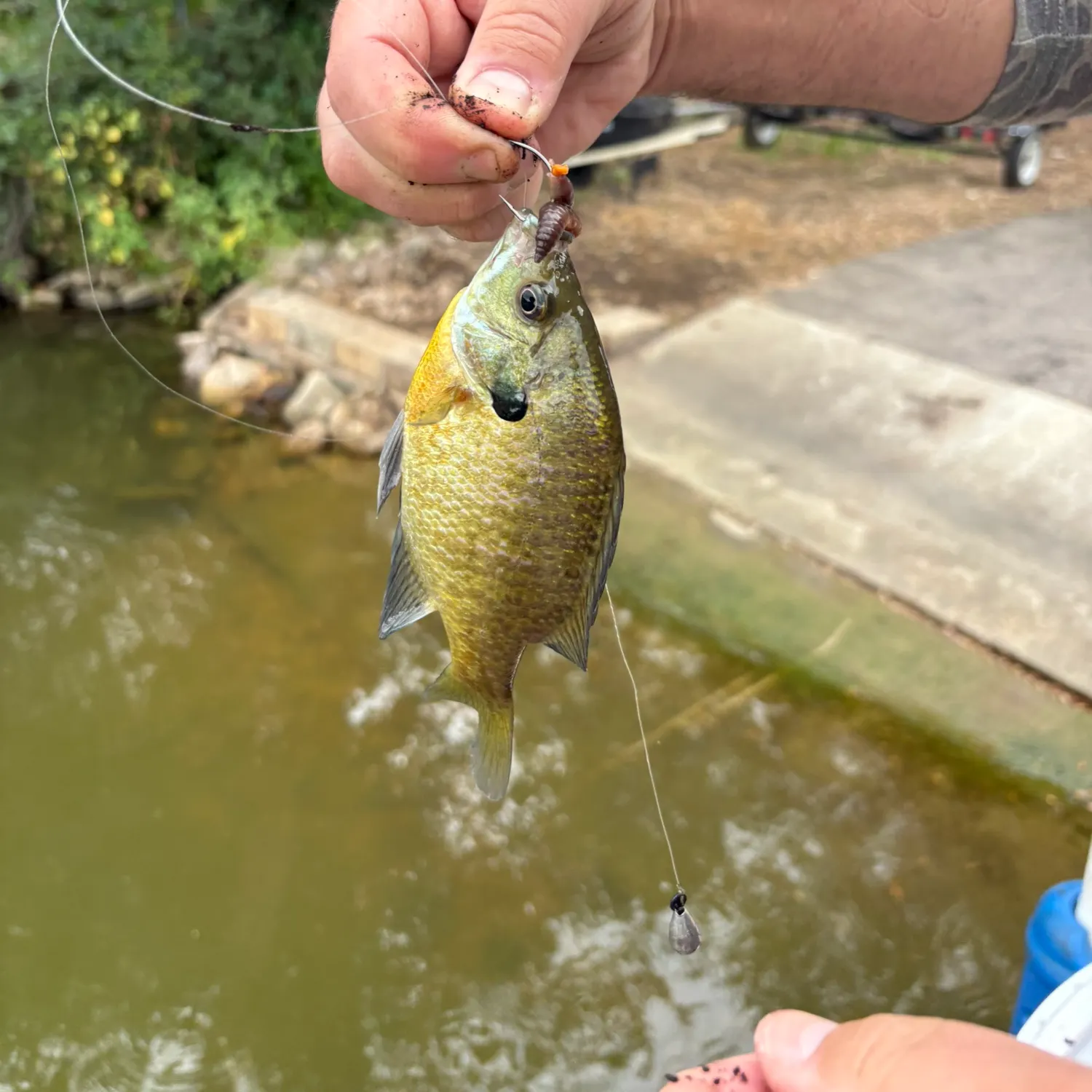 catch