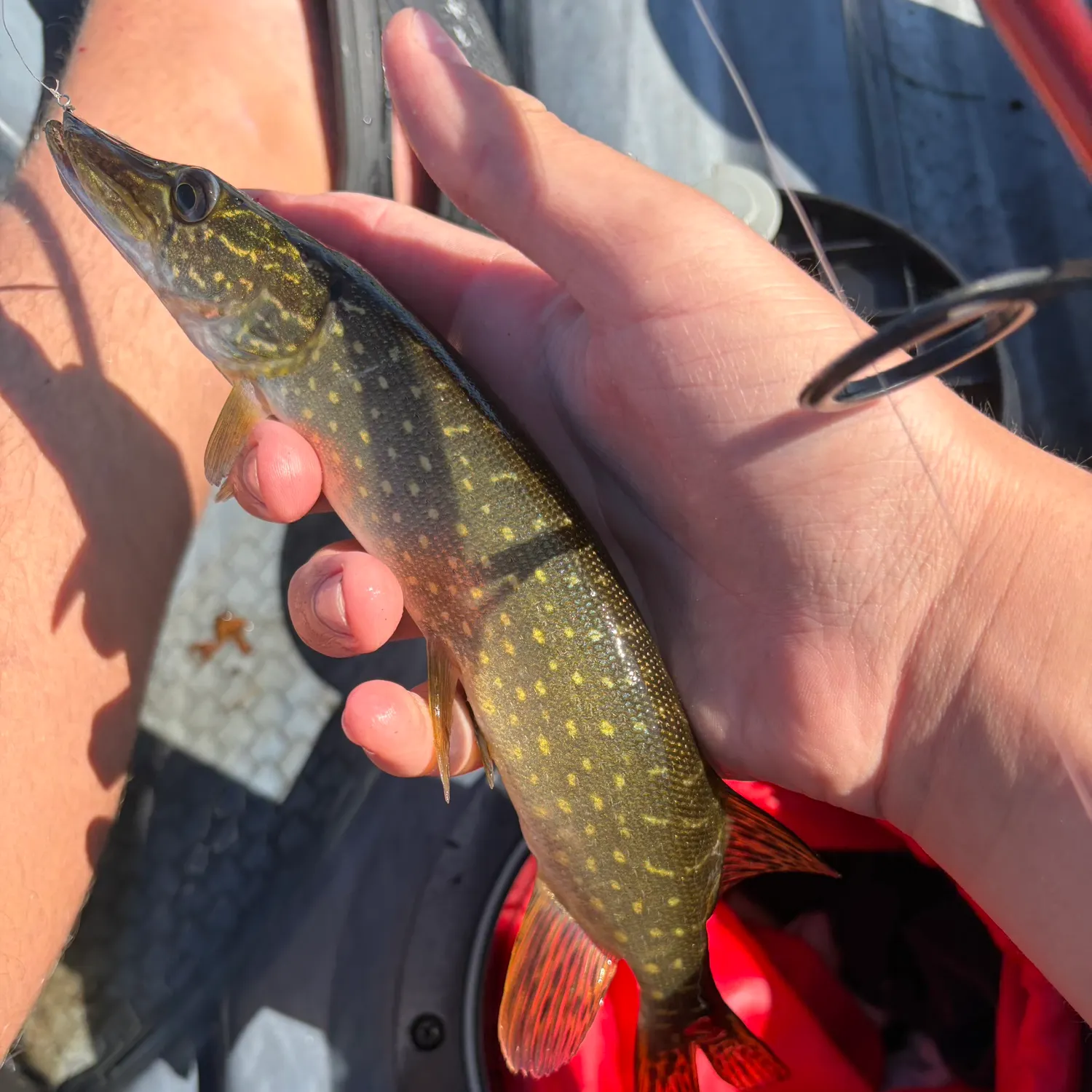 catch