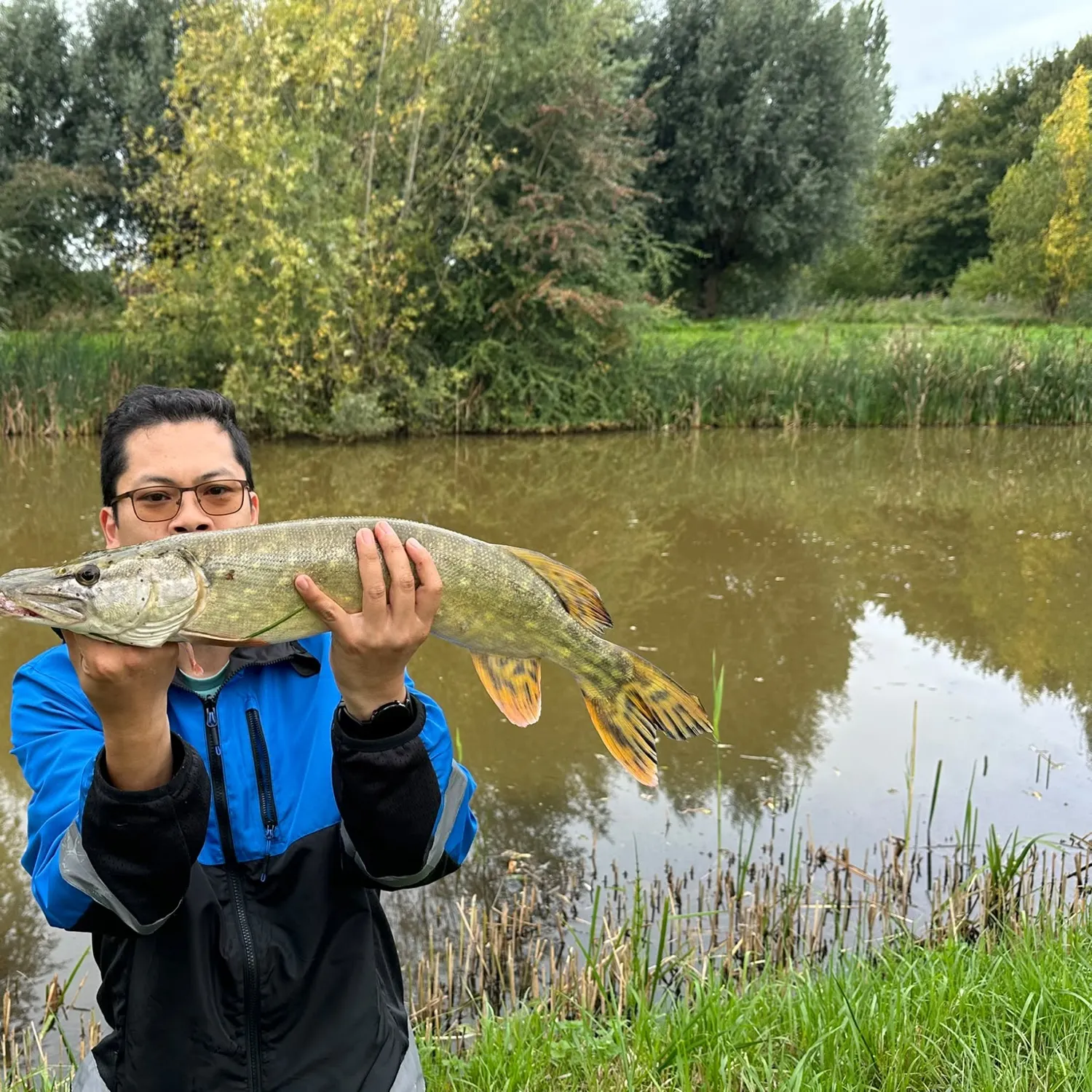 Northern pike caught on Fishbrain