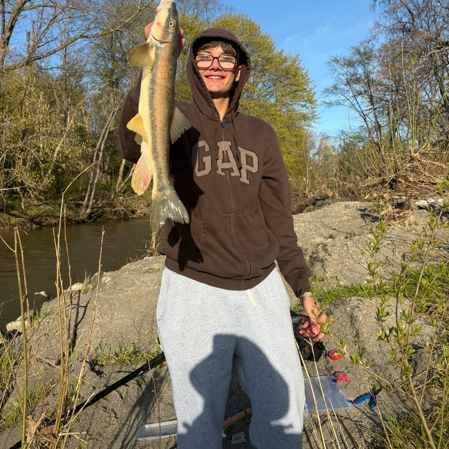 The most recent Longnose sucker catches on Fishbrain