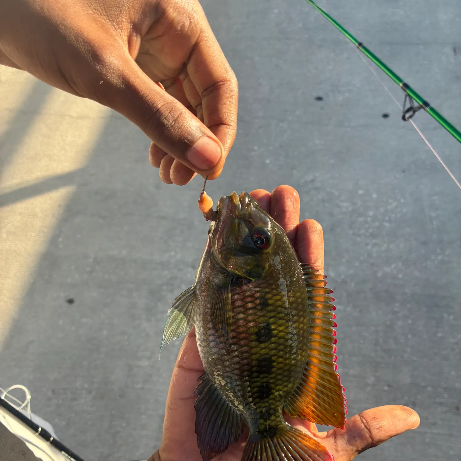 catch