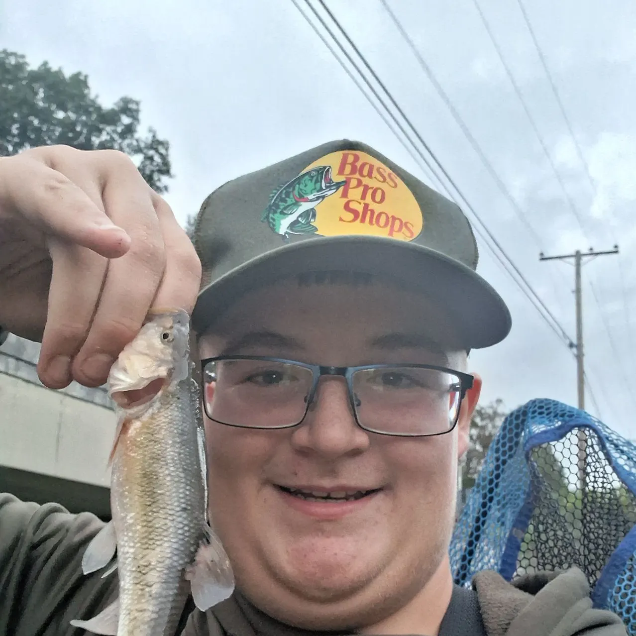 Creek chub caught on Fishbrain