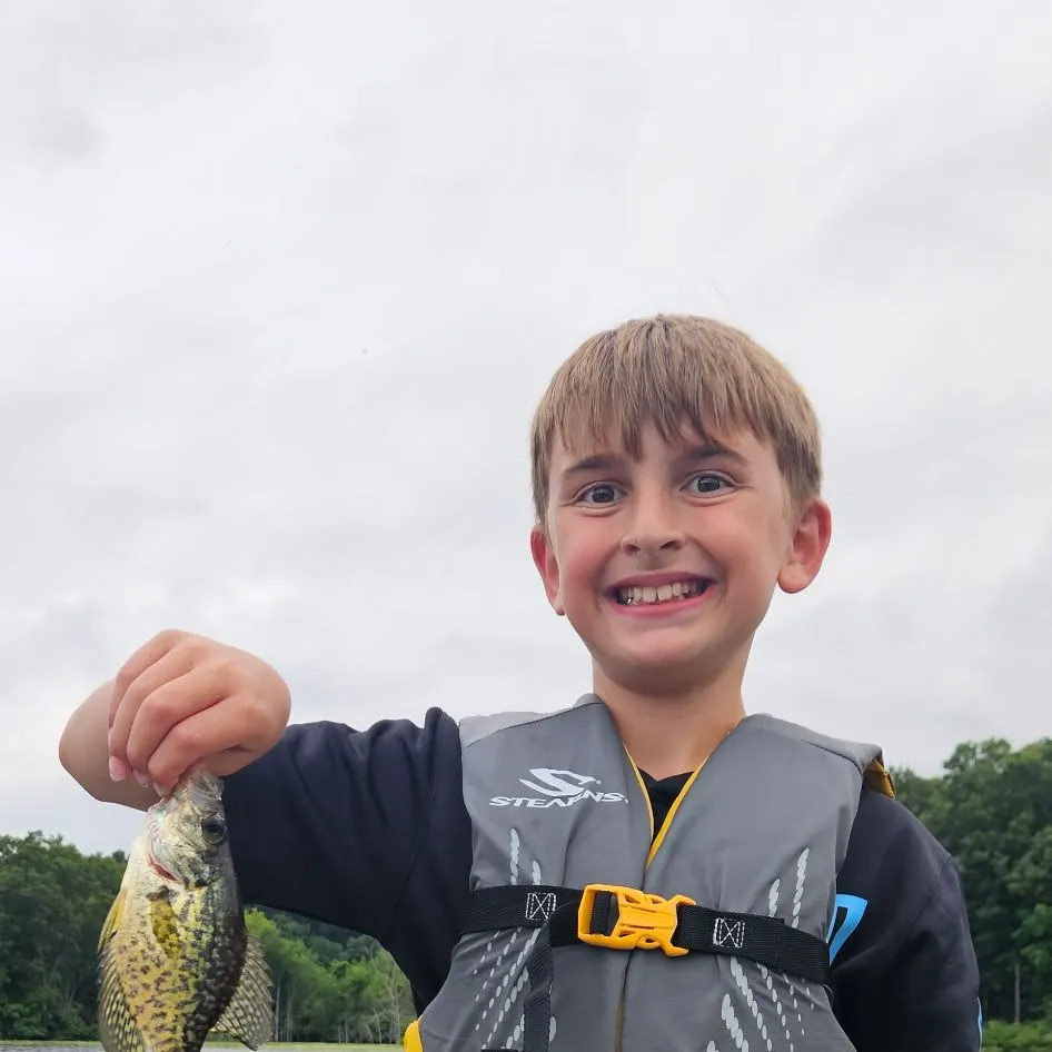 Black crappie caught on Fishbrain