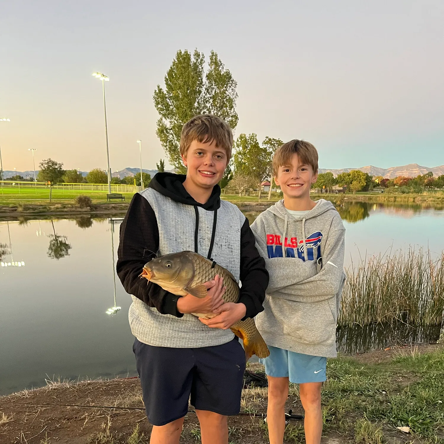 Common carp caught on Fishbrain