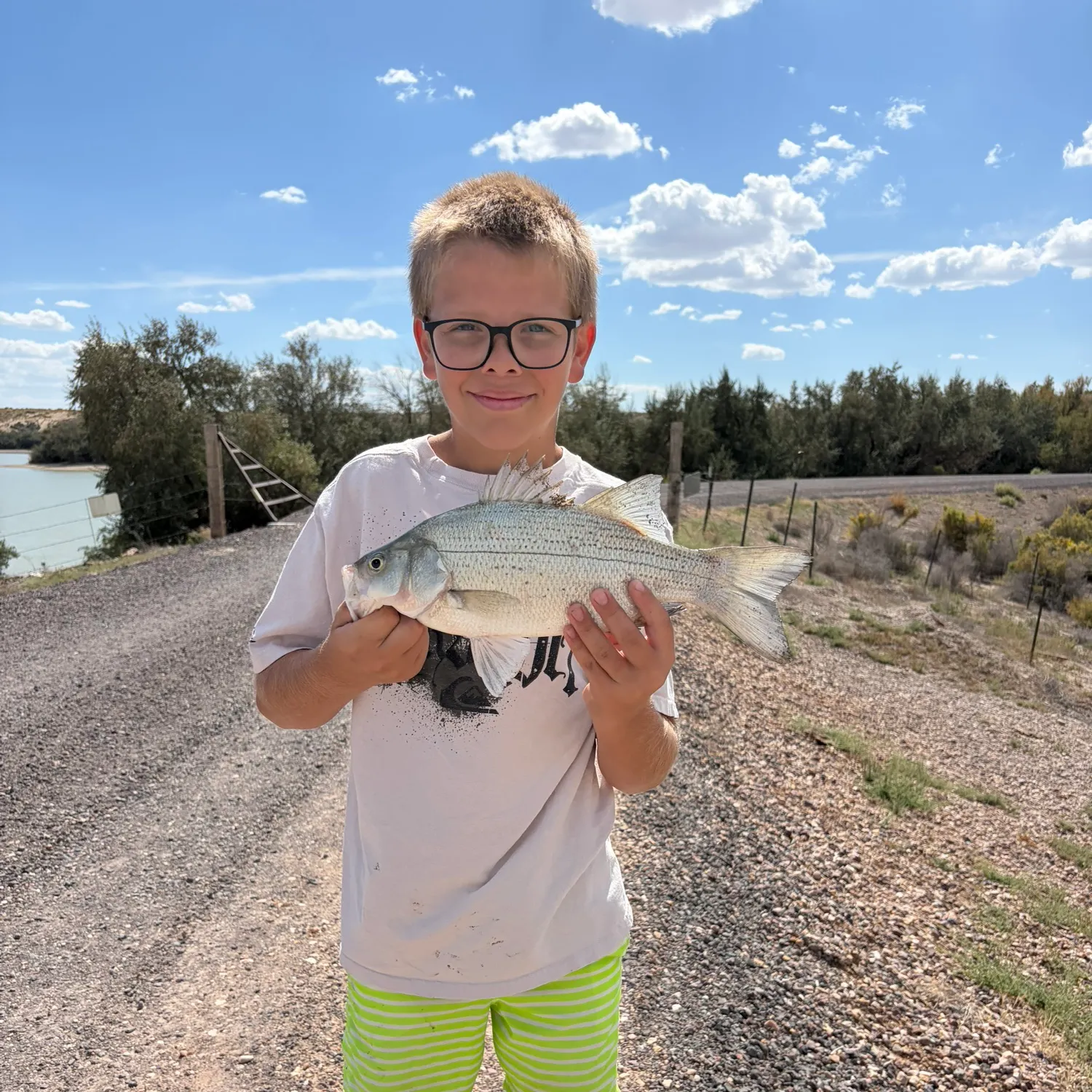 Fish caught on Fishbrain