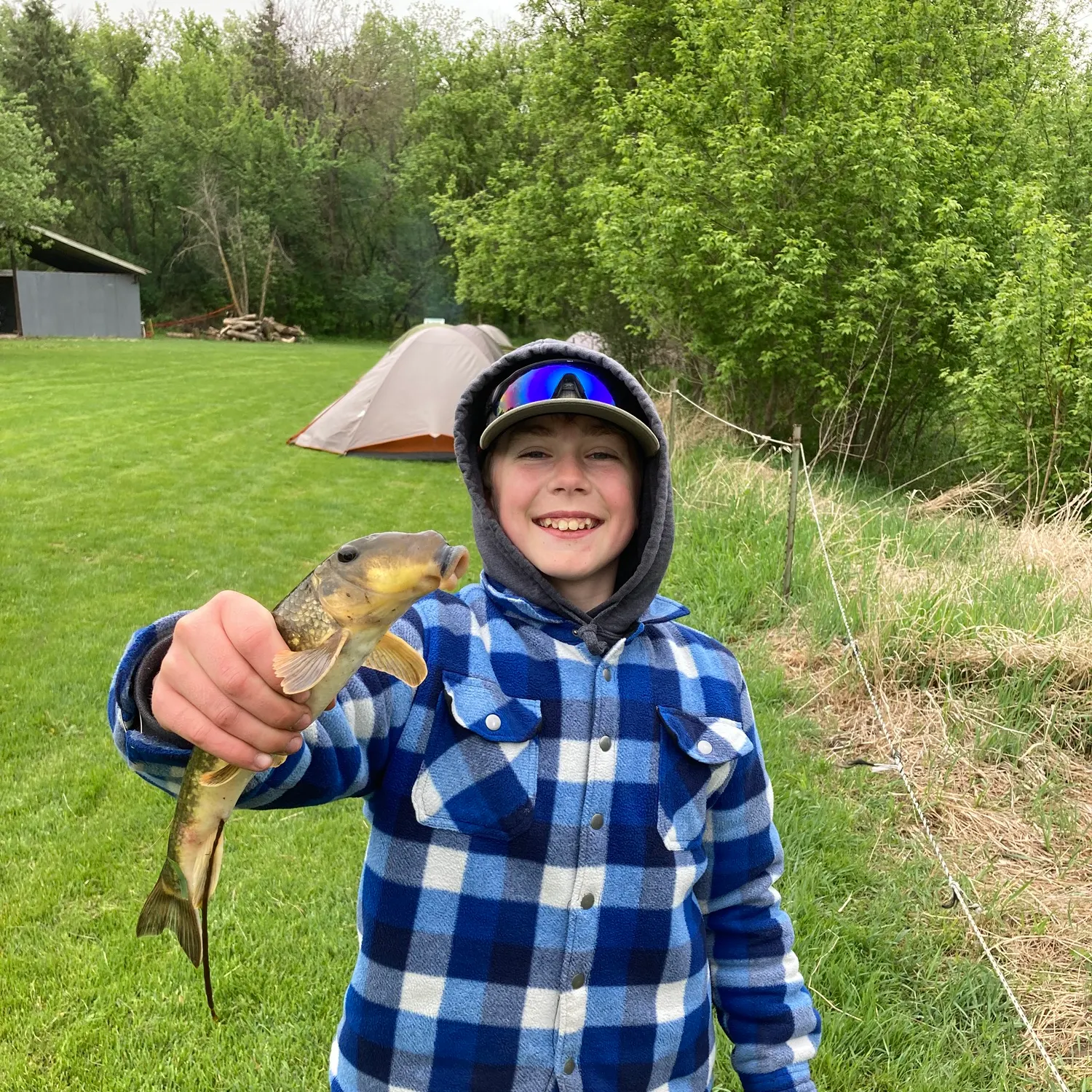 most liked catch image