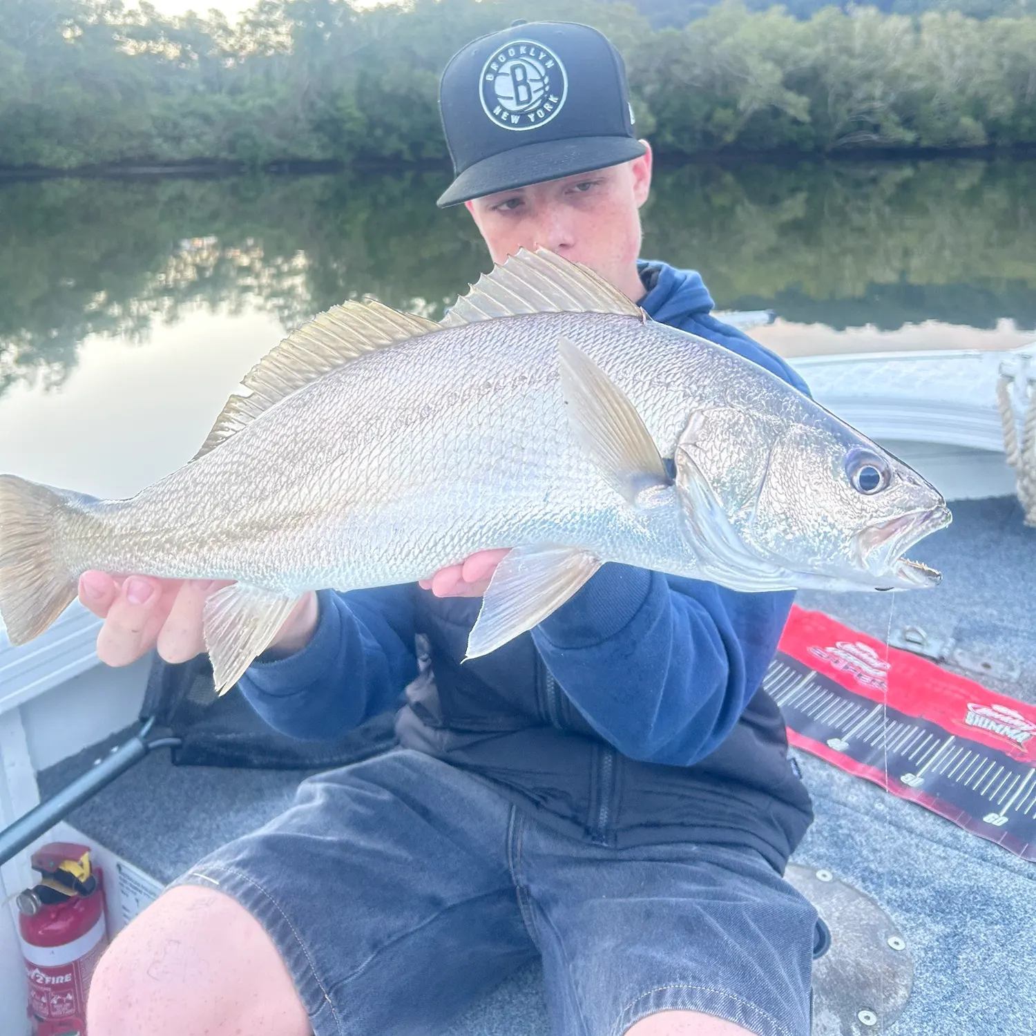 Japanese meagre caught on Fishbrain