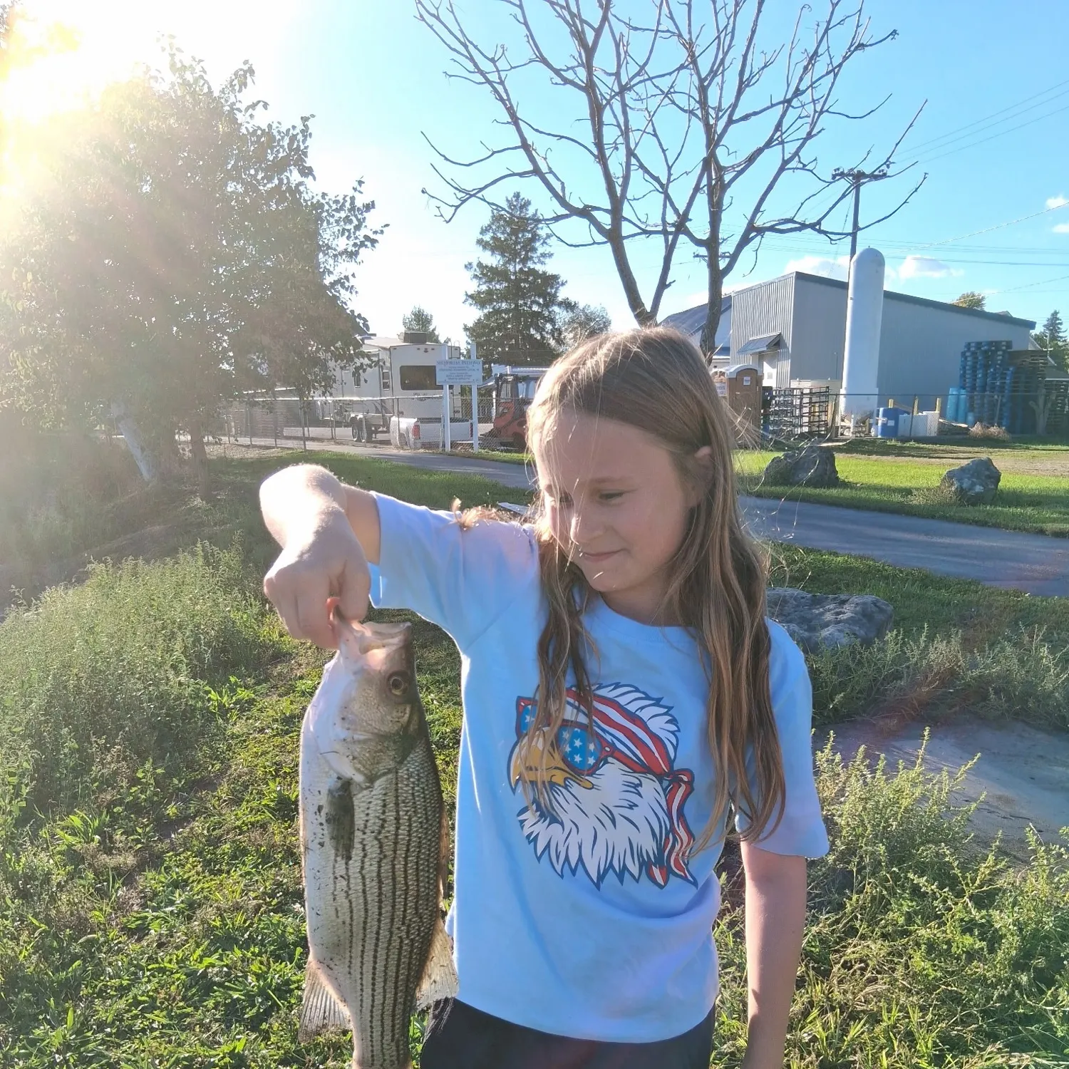 Rock bass caught on Fishbrain