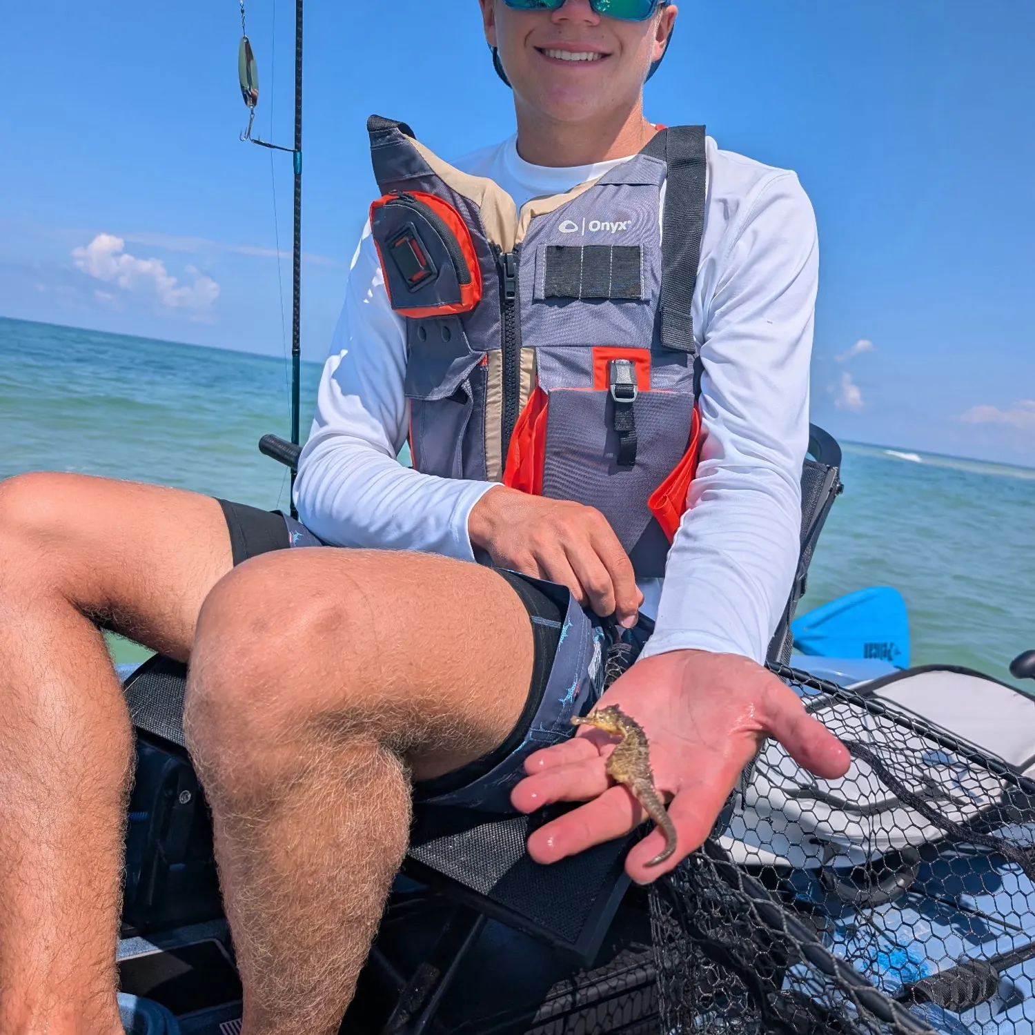 The most recent Lined seahorse catches on Fishbrain