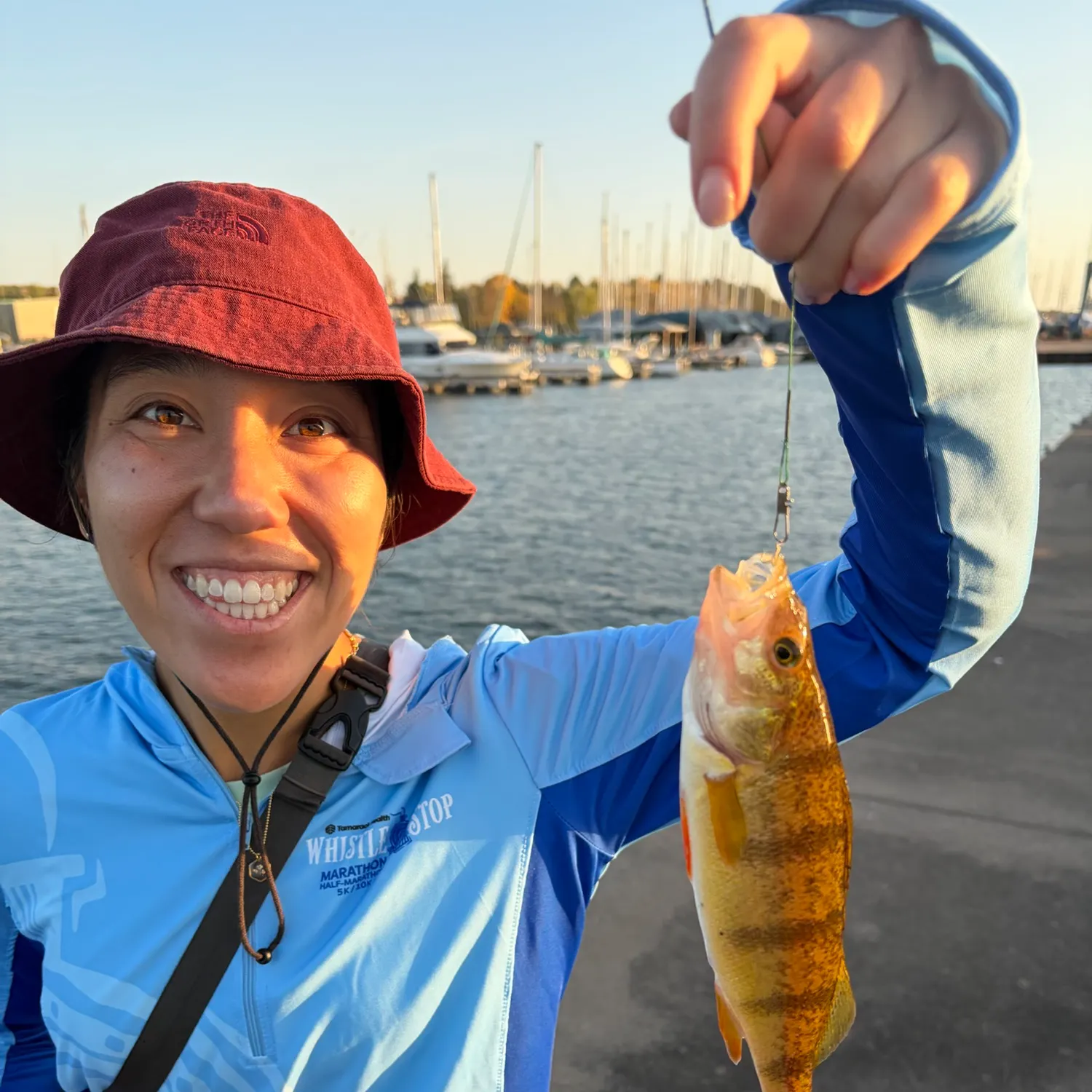 Yellow perch caught on Fishbrain