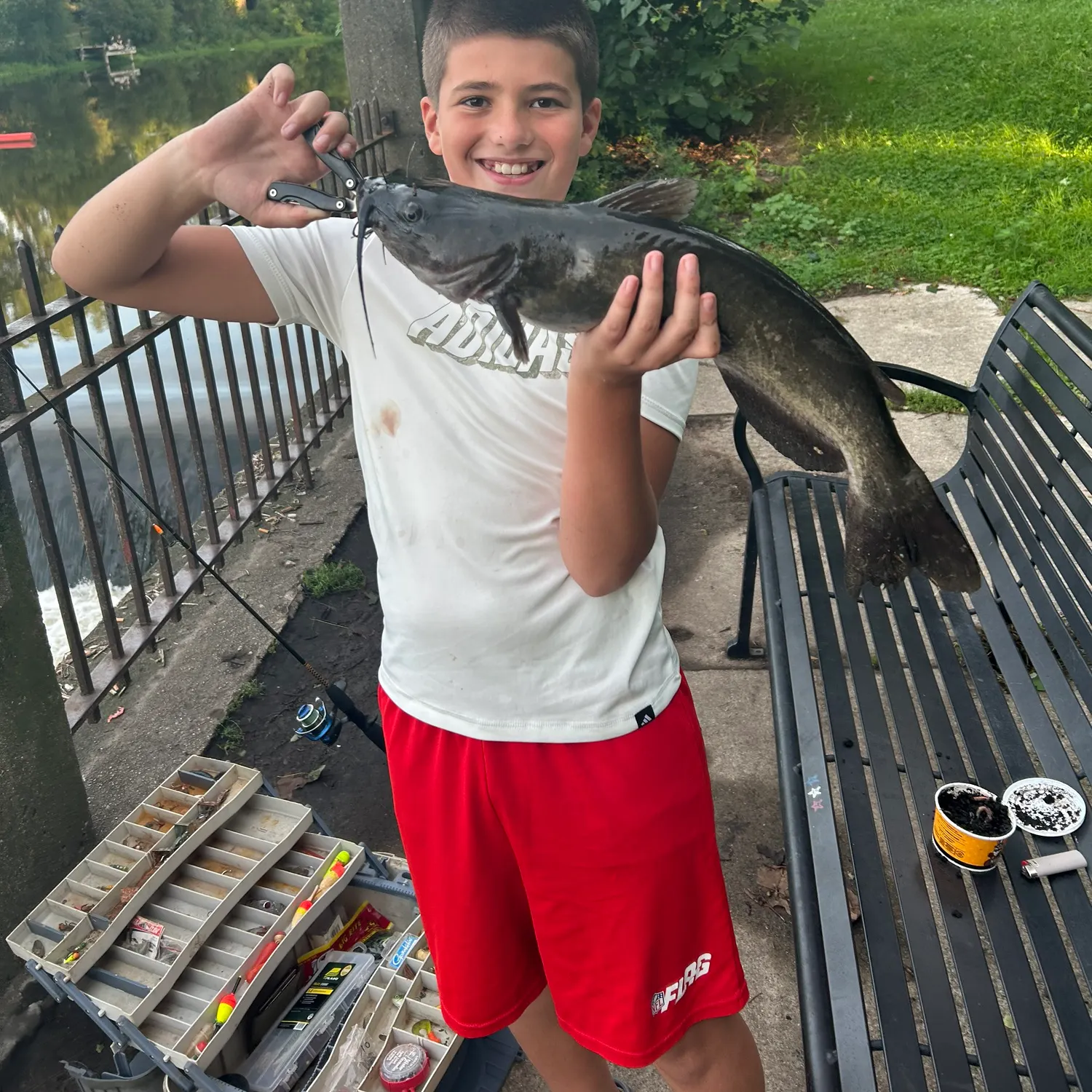 Channel catfish caught on Fishbrain