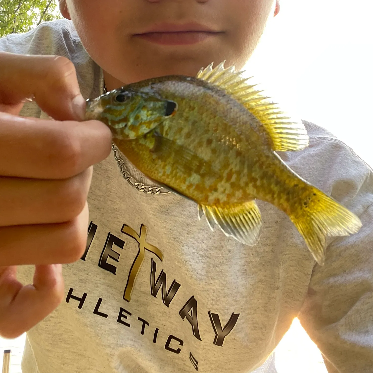 angler catch