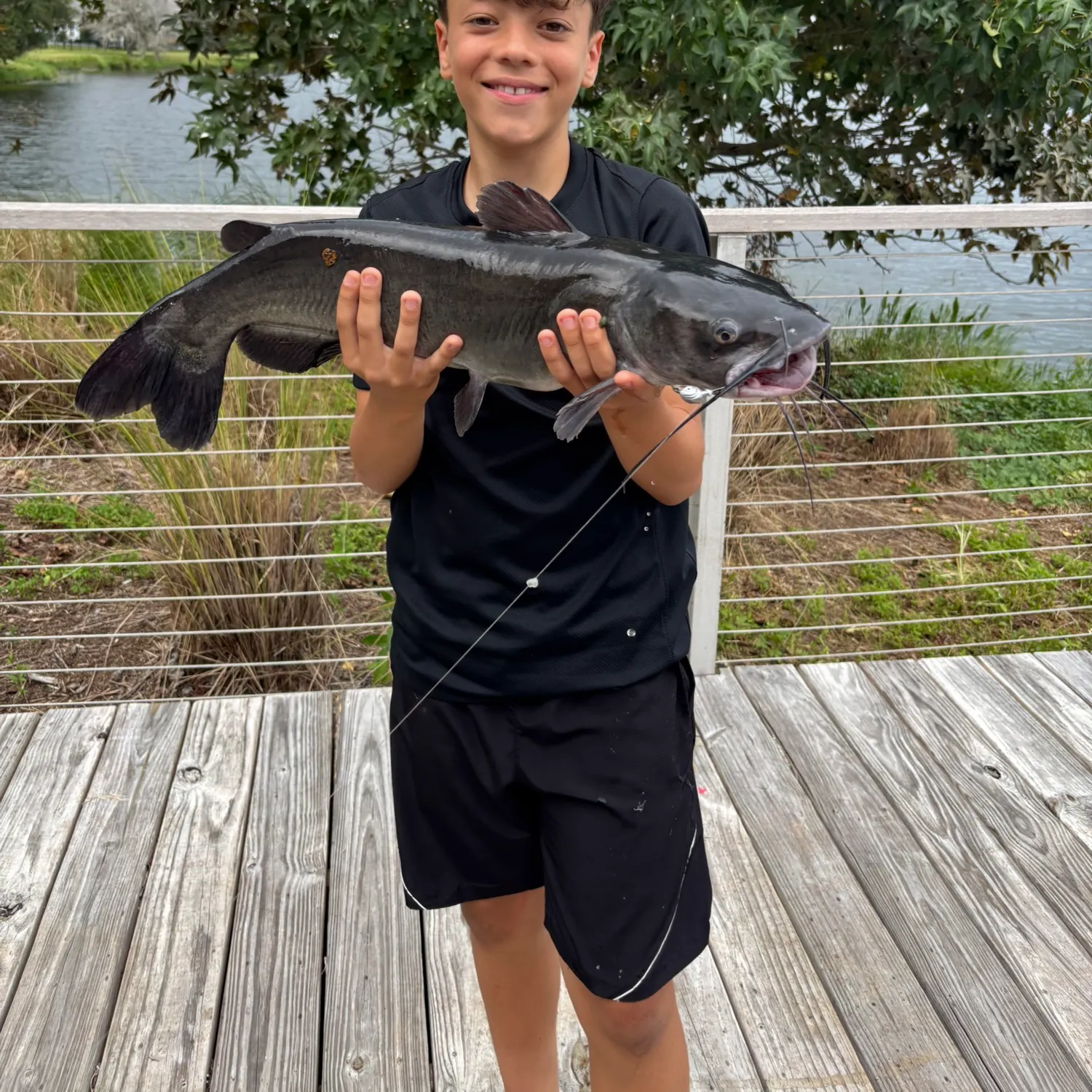 Channel catfish caught on Fishbrain