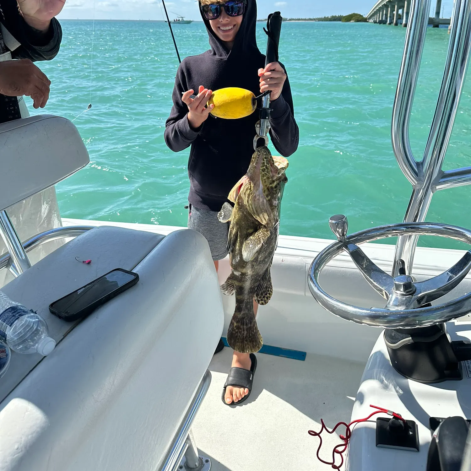 The most recent Atlantic goliath grouper catches on Fishbrain