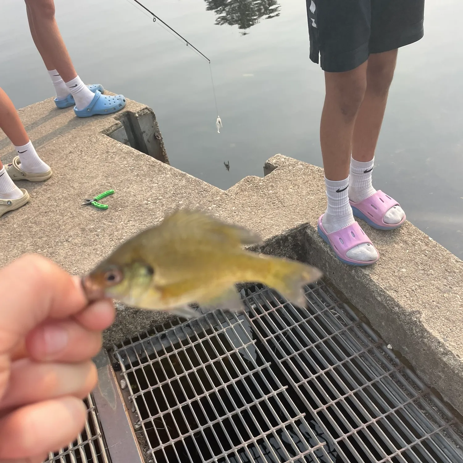 catch