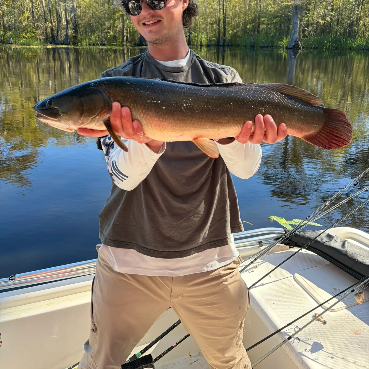 Ruddy bowfin caught on Fishbrain