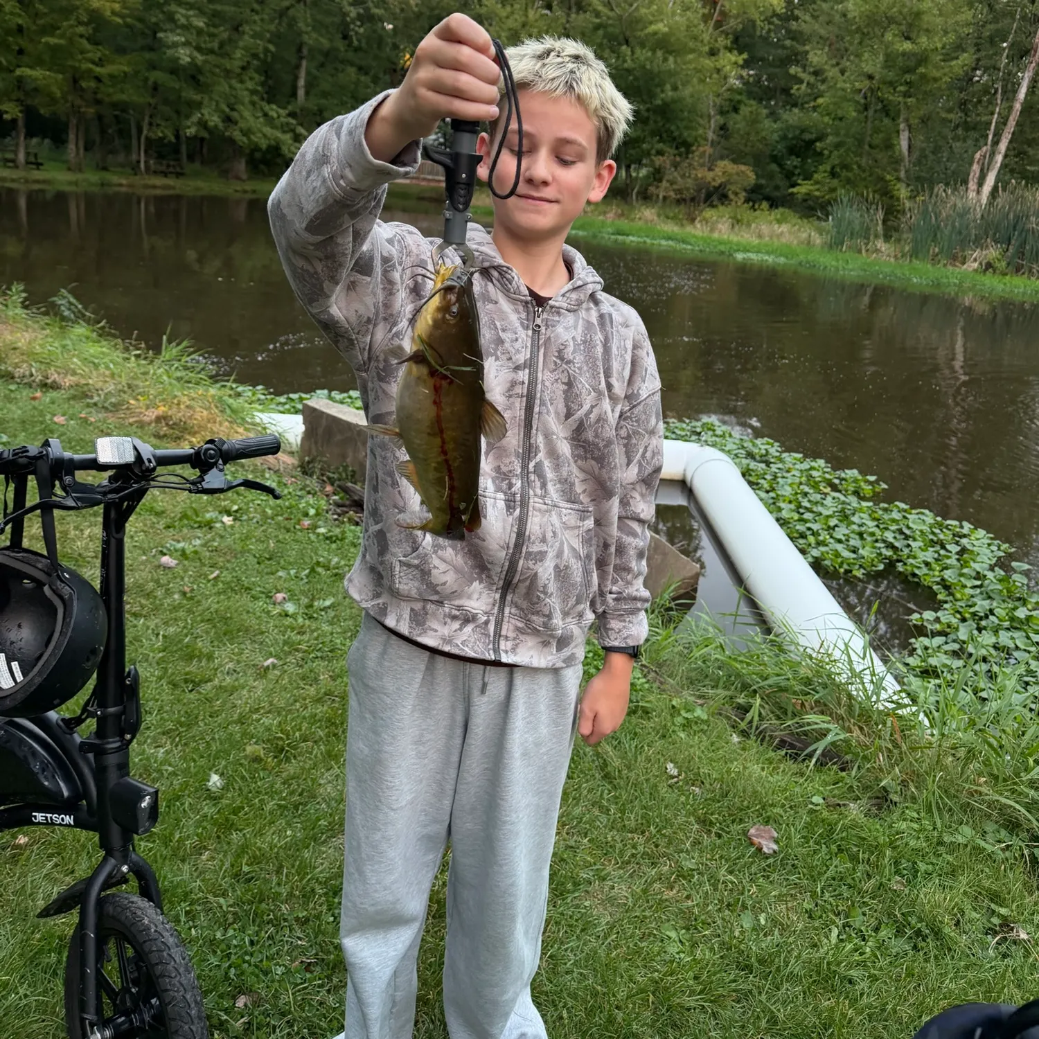 Yellow bullhead caught on Fishbrain
