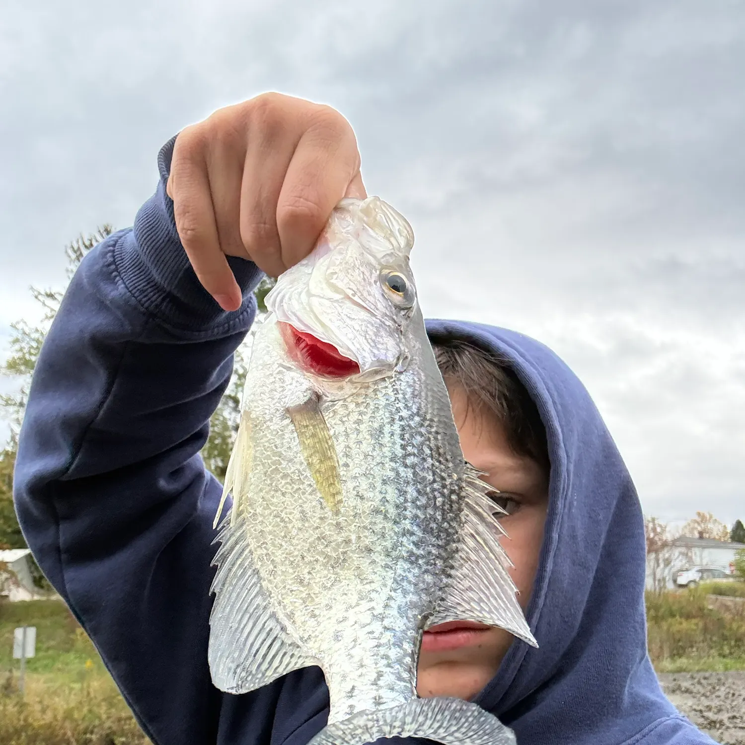 Fish caught on Fishbrain