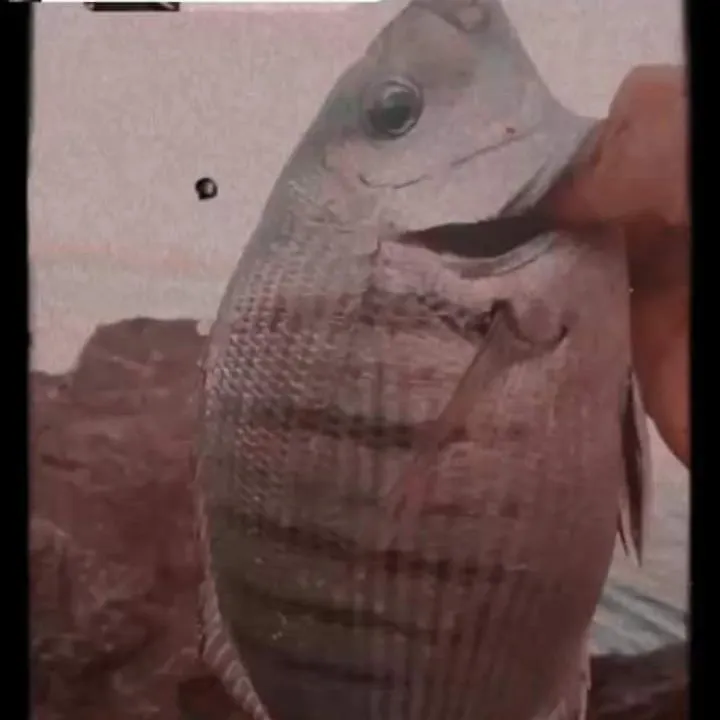 most liked catch image
