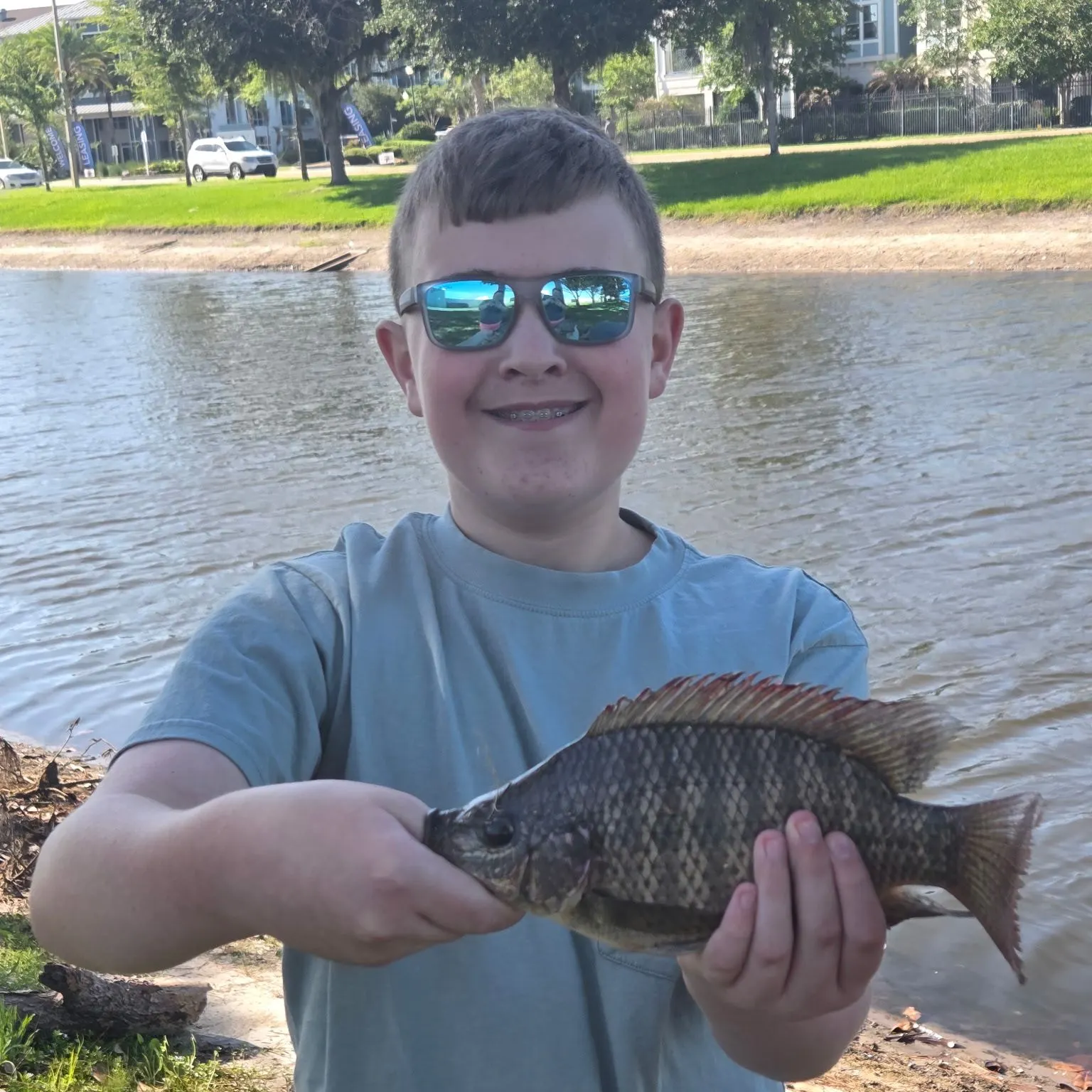 The most recent Blue tilapia catches on Fishbrain