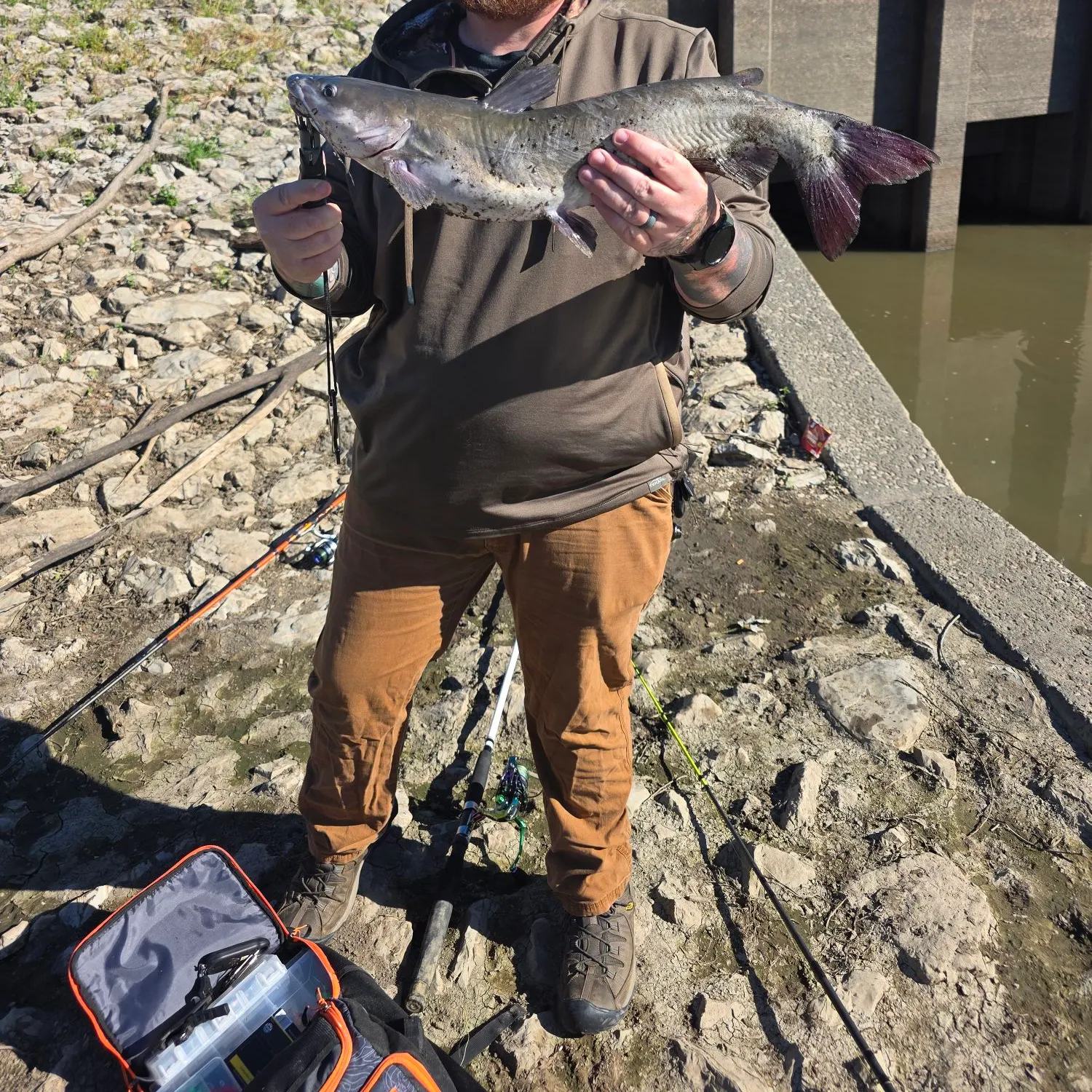 Channel catfish caught on Fishbrain