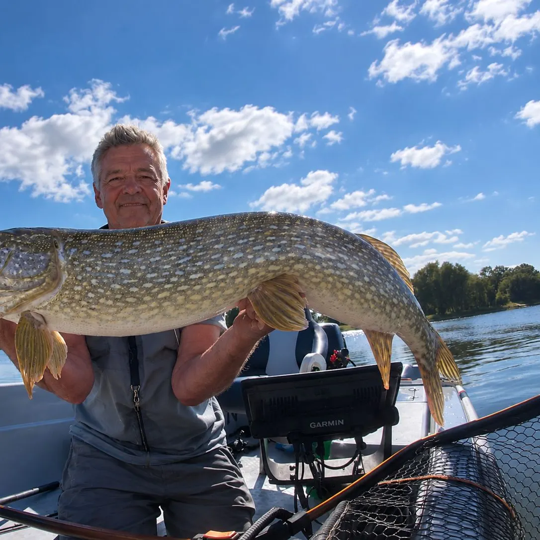 Northern pike caught on Fishbrain