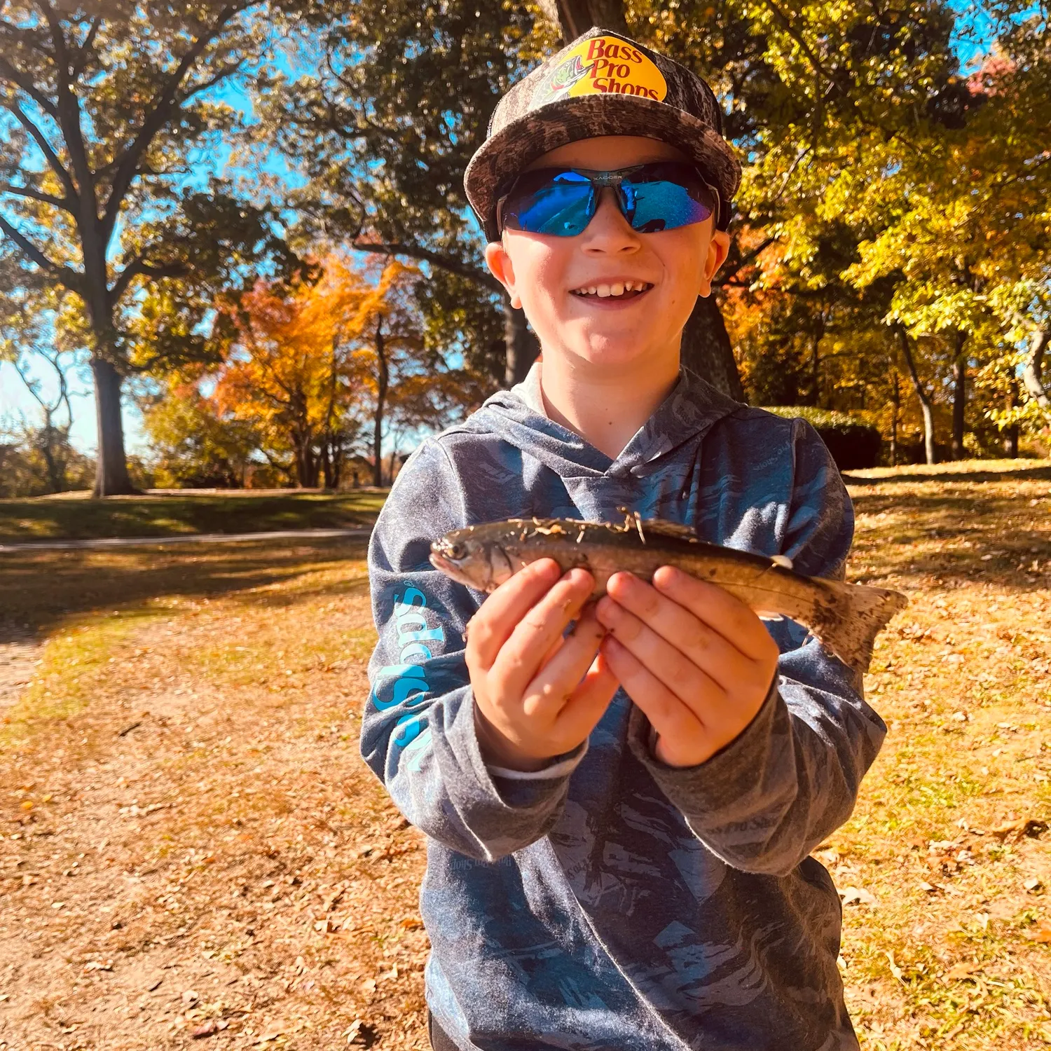 Brook trout caught on Fishbrain