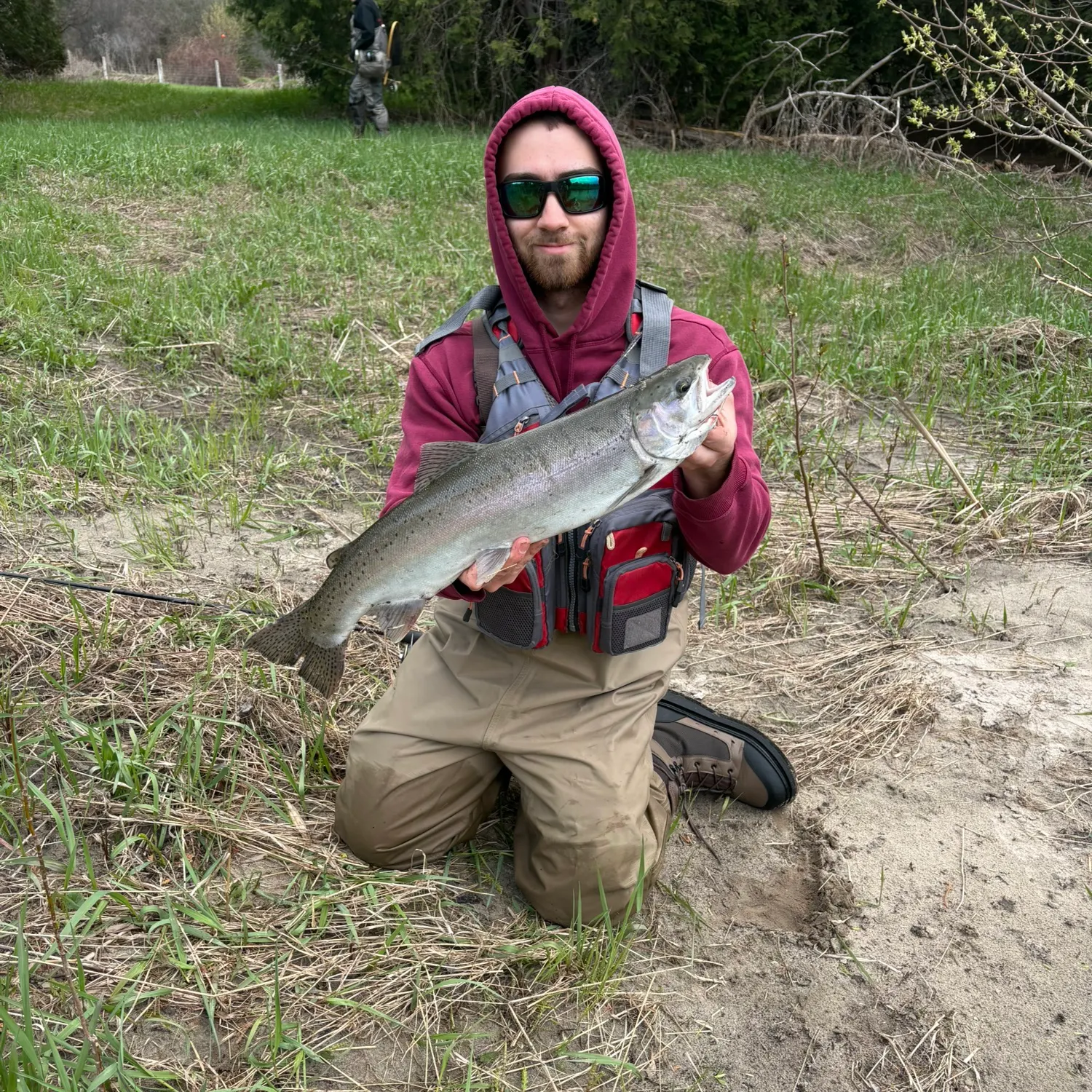 The most recent Steelhead catches on Fishbrain
