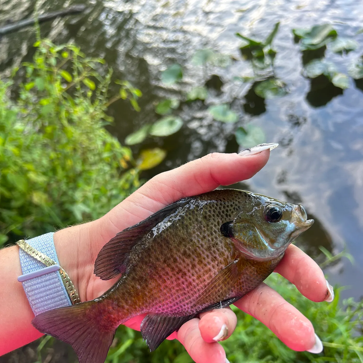 catch