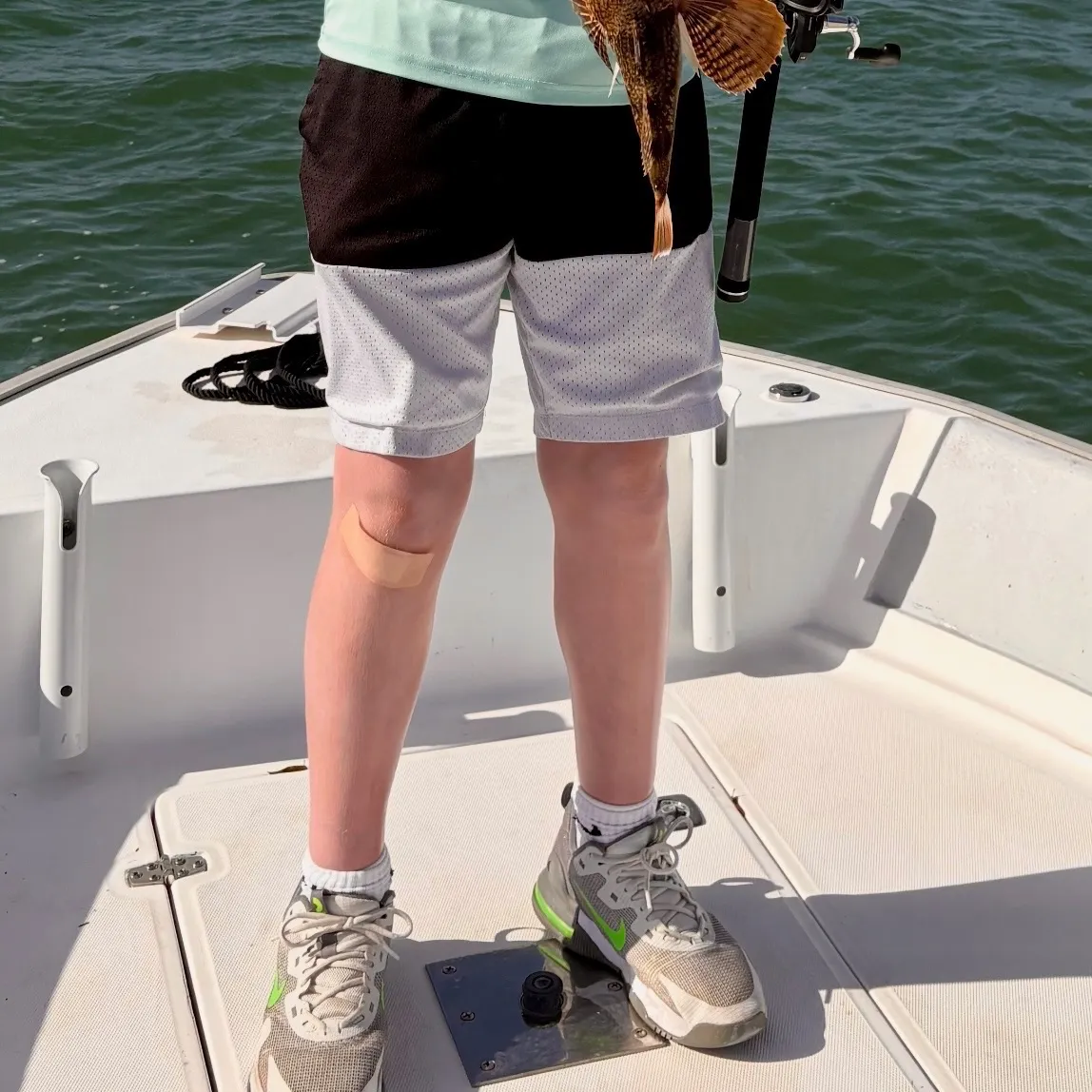 The most recent Striped searobin catches on Fishbrain